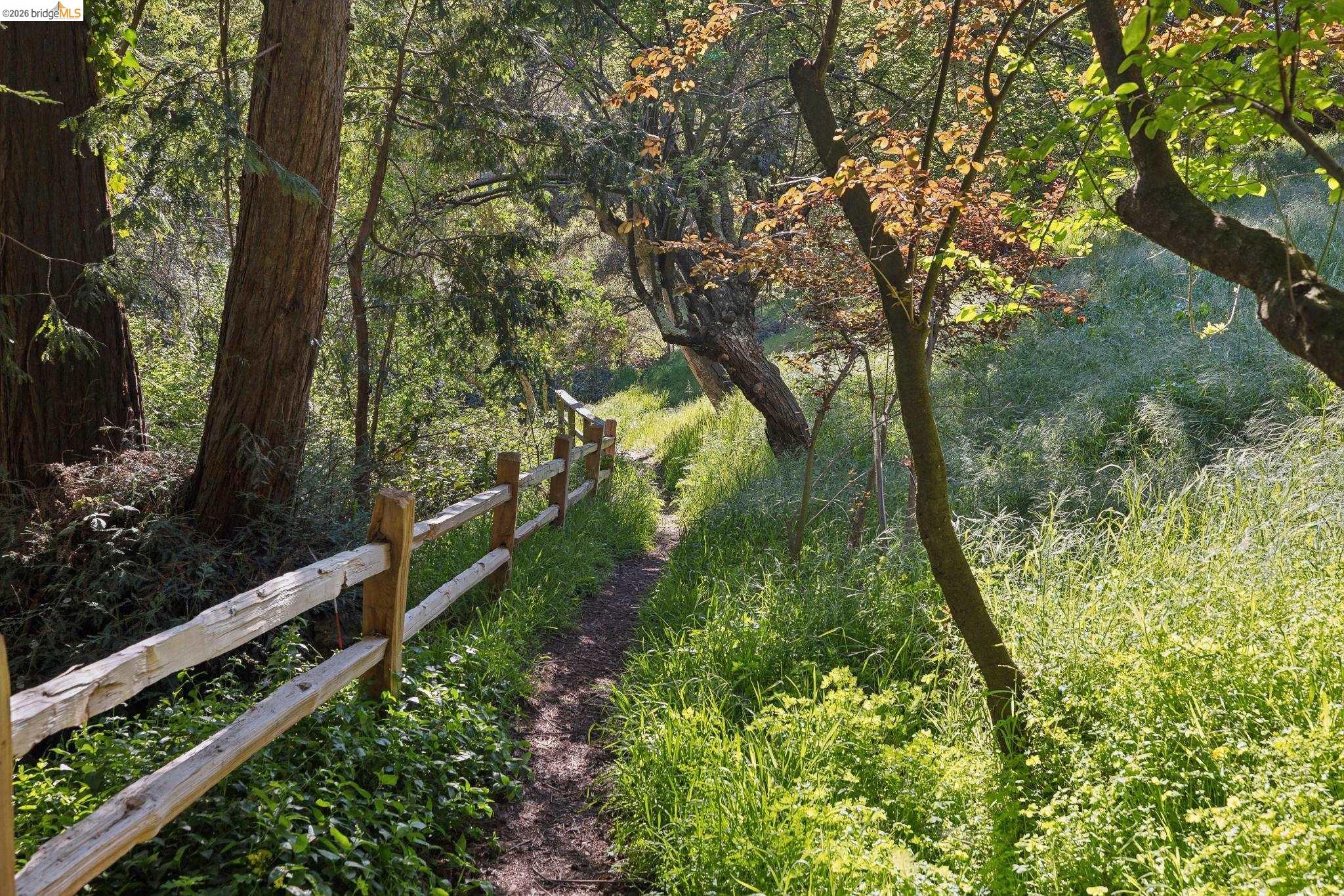 Detail Gallery Image 37 of 43 For 5 Abbott Way, Piedmont,  CA 94618 - 4 Beds | 3/1 Baths