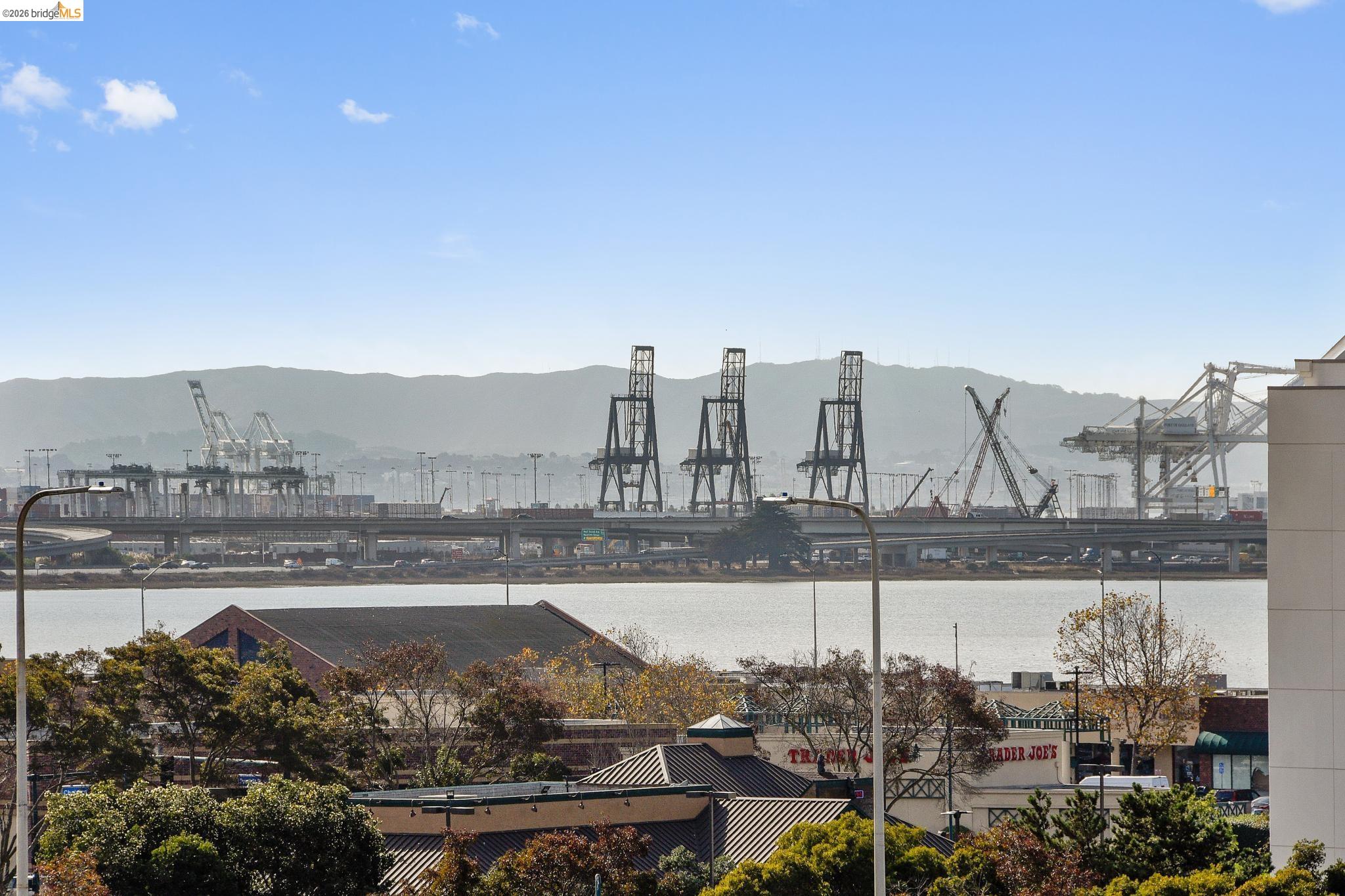 Photo #42: 41127112 Listing: Photo #42