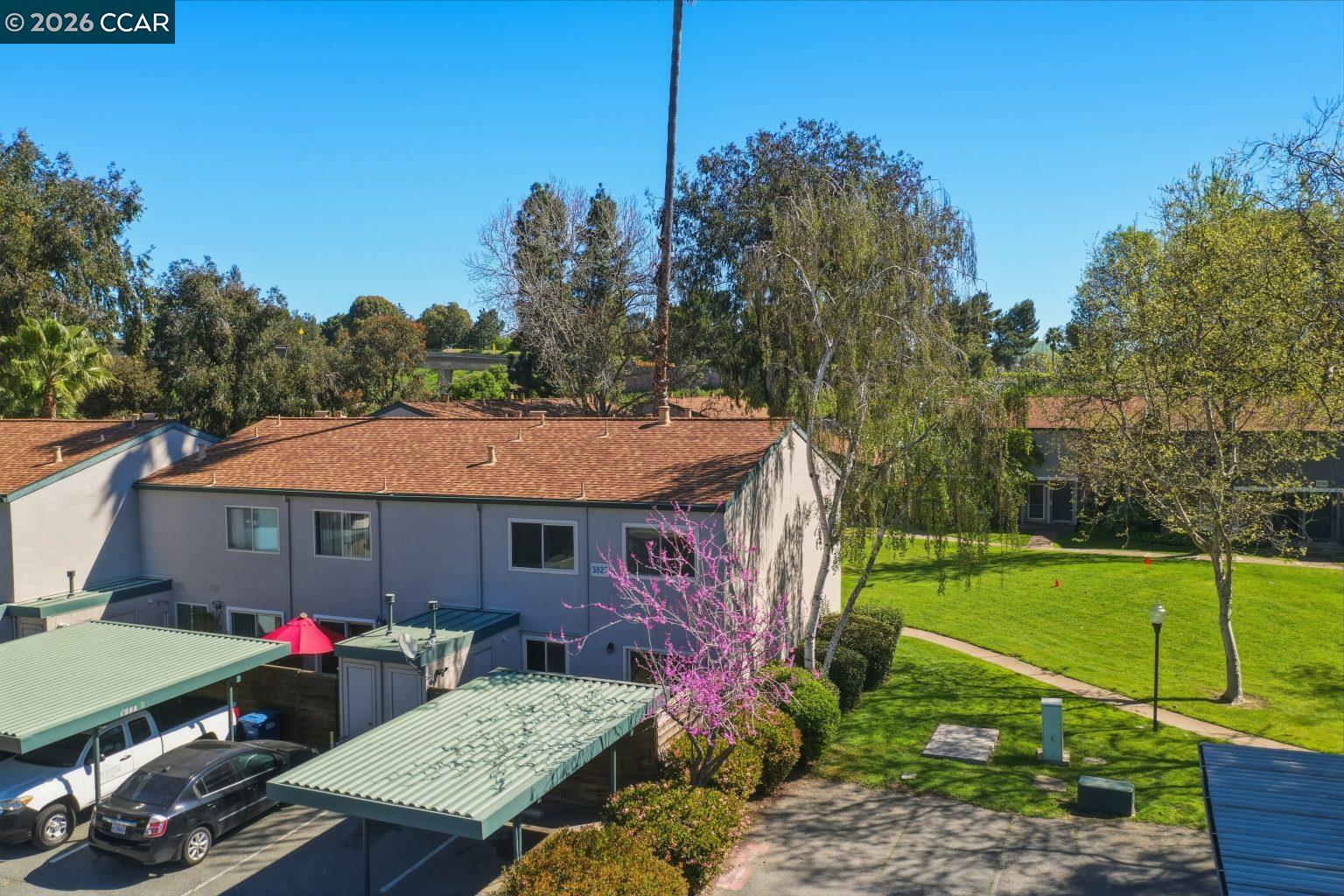 Photo #43: 41127114 Listing: Photo #43