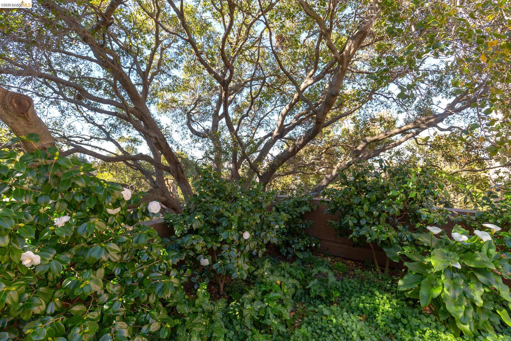 Photo #30: 41127115 Listing: Photo #30