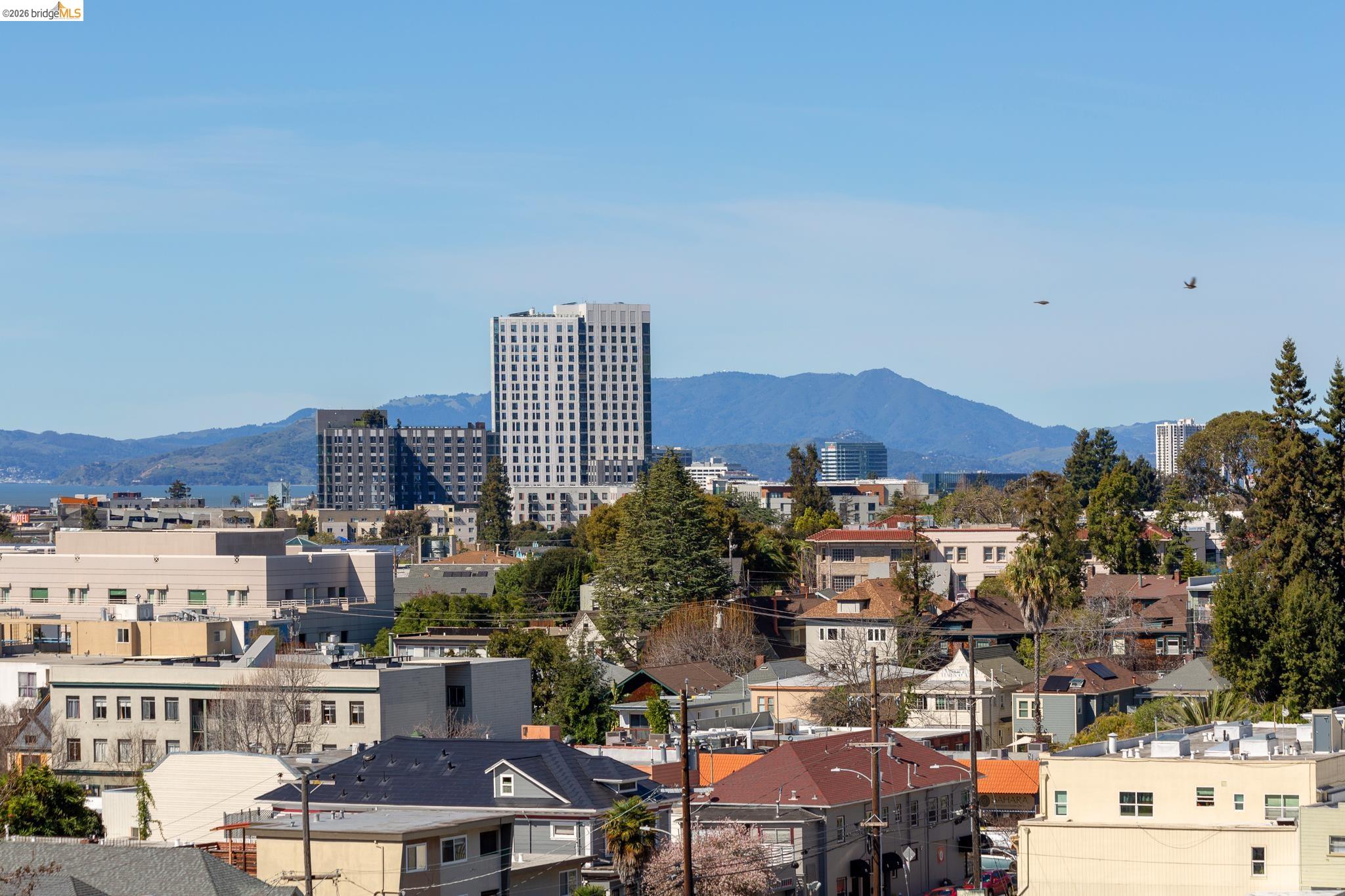 Photo #7: 41127115 Listing: Photo #7