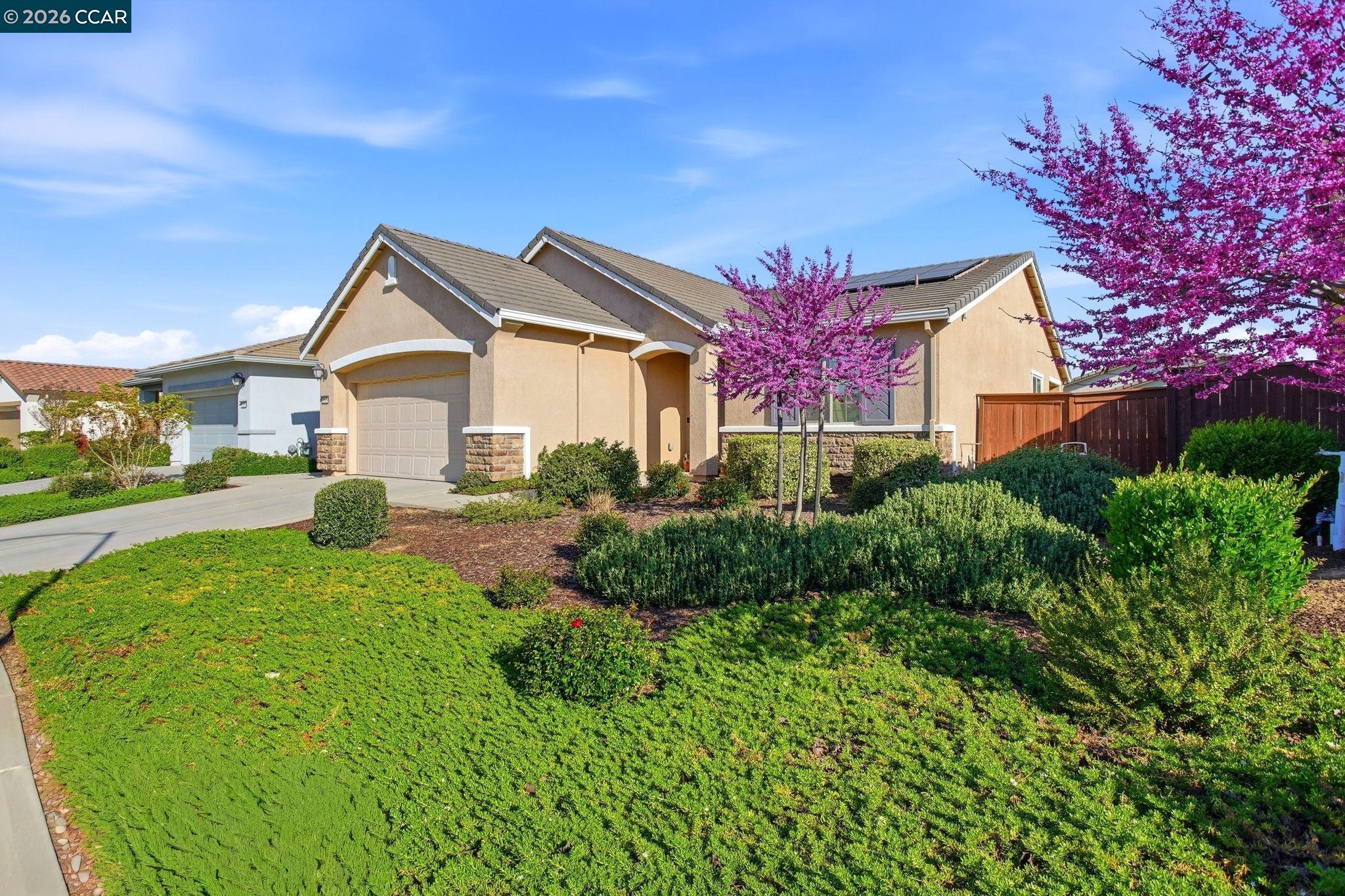 Front Image Thumbnail for CC41127123