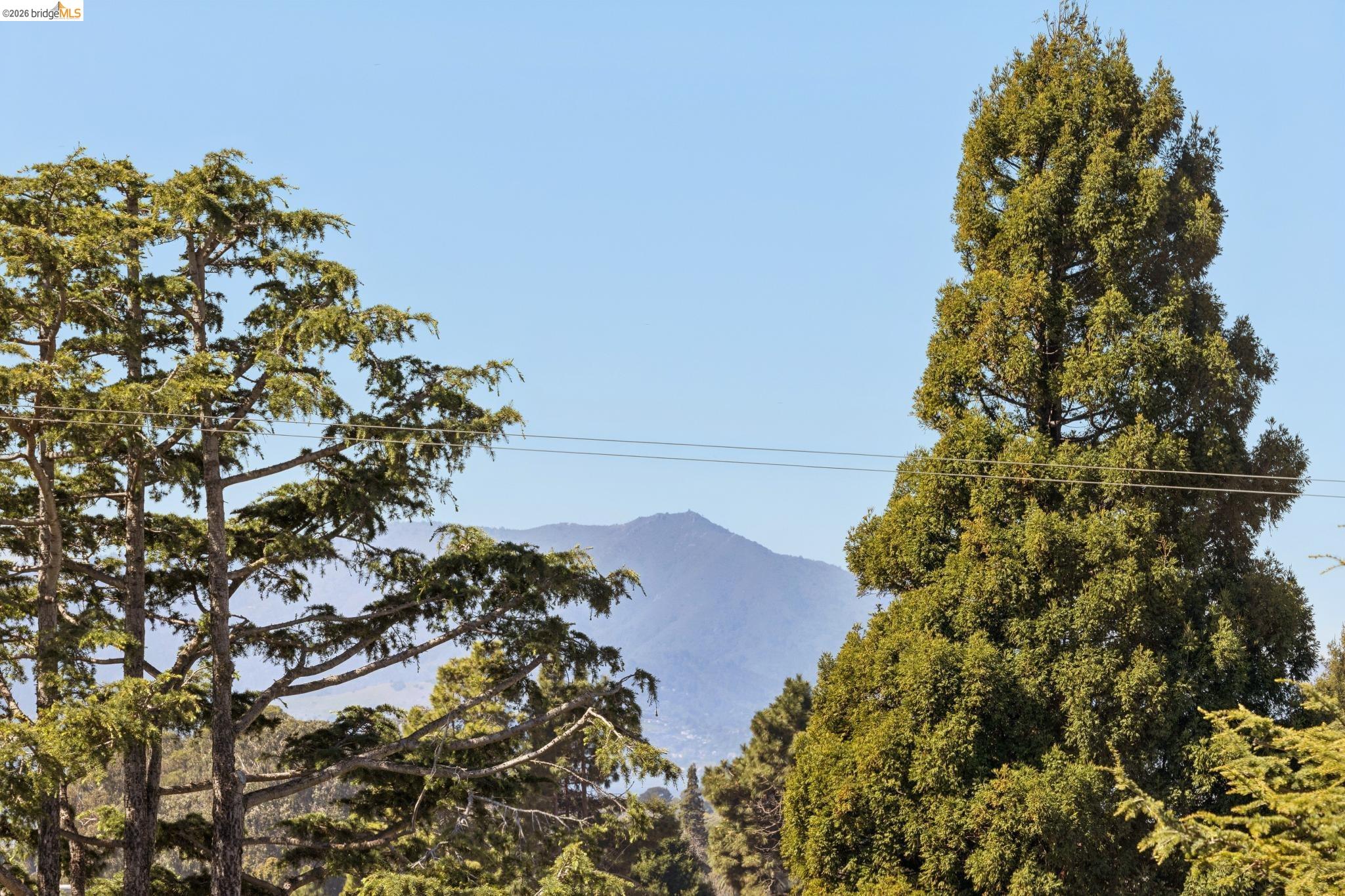 Detail Gallery Image 43 of 59 For 1509 Francis St, Albany,  CA 94706 - 3 Beds | 2 Baths