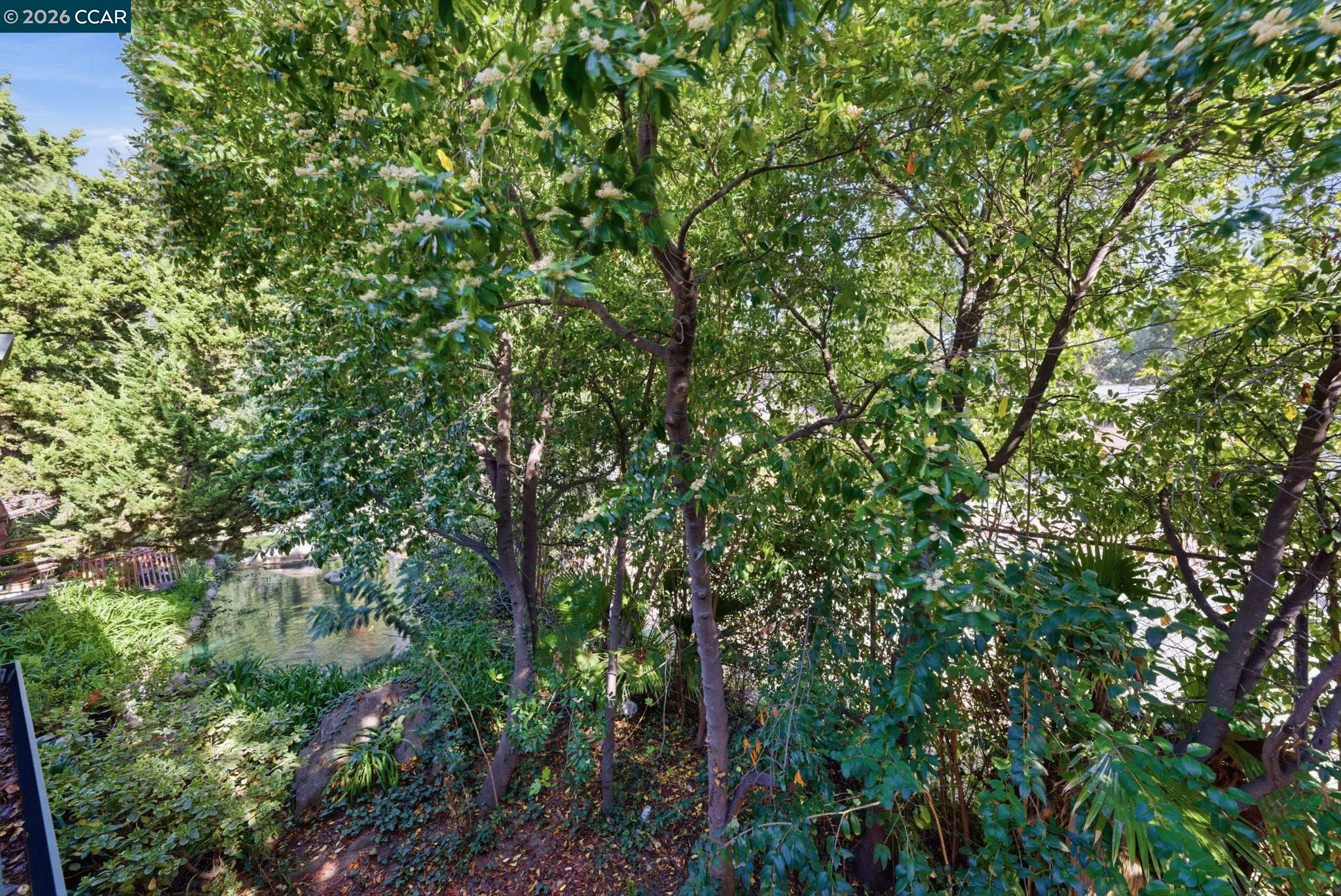 Detail Gallery Image 41 of 59 For 1050 Summershore Ct, San Jose,  CA 95122 - 2 Beds | 2 Baths