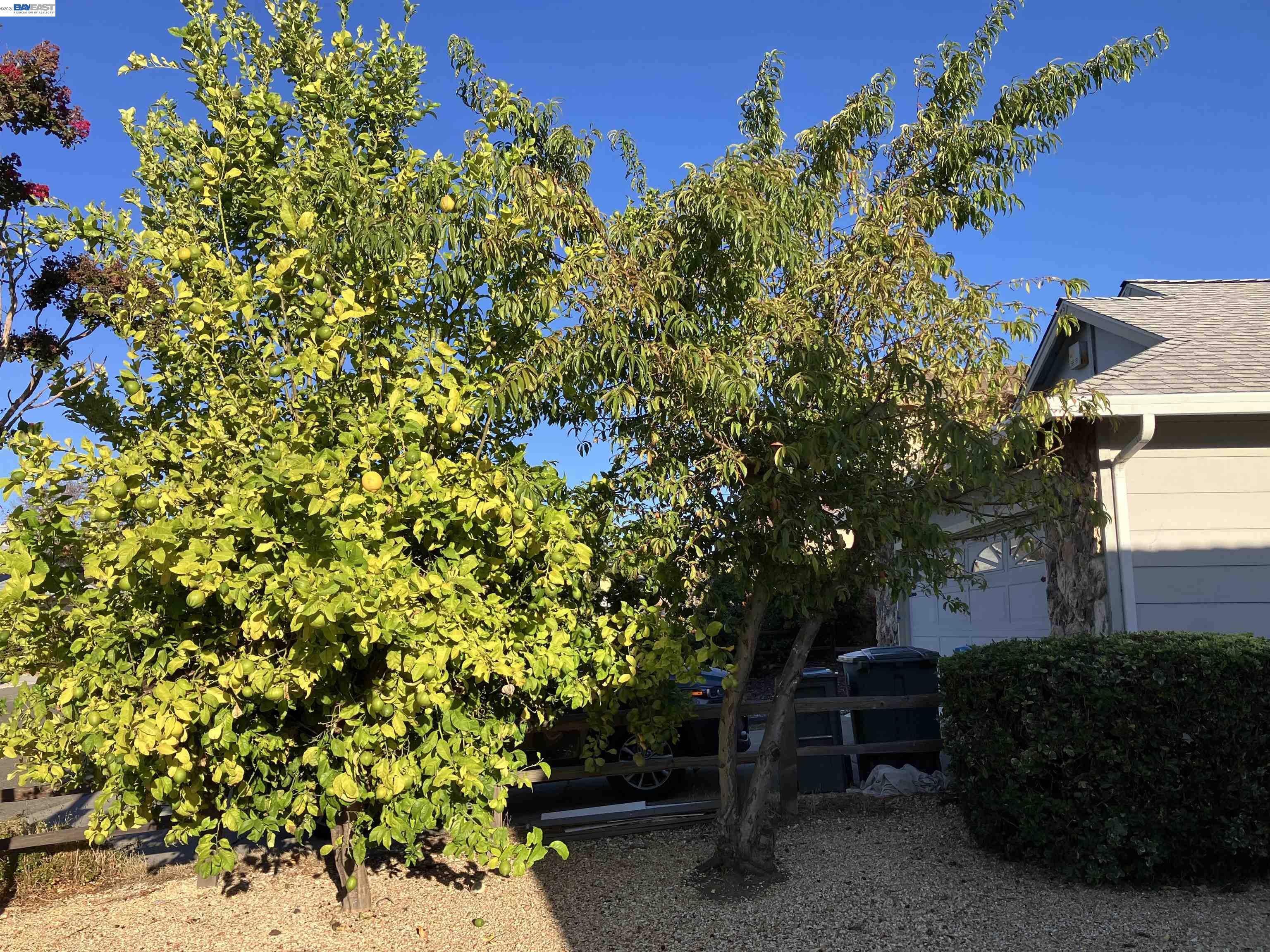 Detail Gallery Image 3 of 58 For 181 Yachtsman Dr, Vallejo,  CA 94591 - 3 Beds | 2/1 Baths