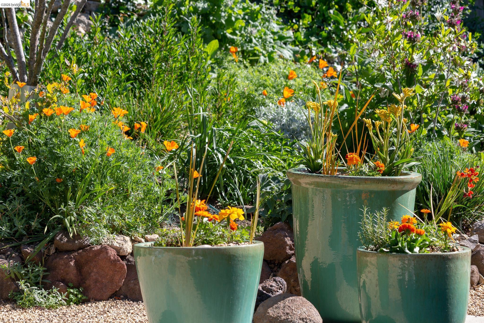 Detail Gallery Image 45 of 54 For 731 Grizzly Peak Blvd, Berkeley,  CA 94708 - 3 Beds | 2 Baths