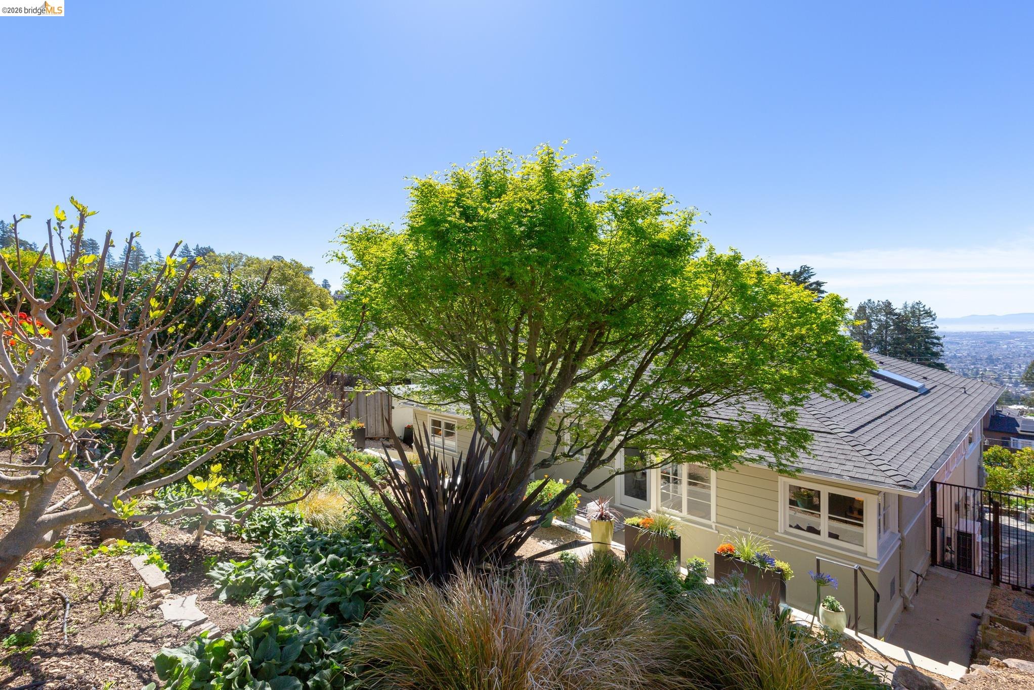 Detail Gallery Image 51 of 54 For 731 Grizzly Peak Blvd, Berkeley,  CA 94708 - 3 Beds | 2 Baths