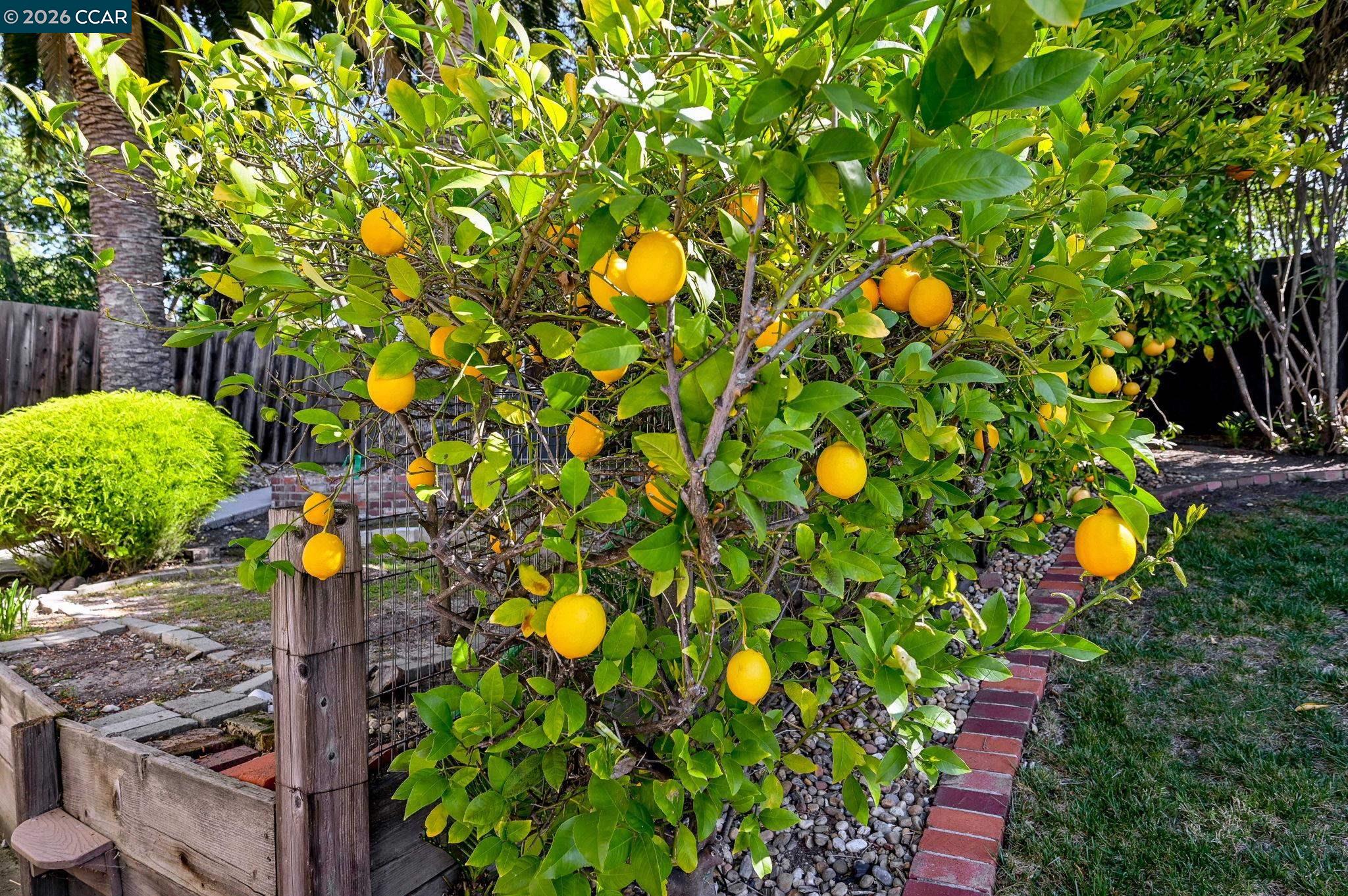 Detail Gallery Image 27 of 31 For 823 Turrini Dr, Danville,  CA 94526 - 3 Beds | 4 Baths