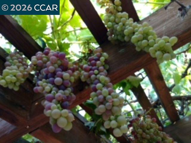 Detail Gallery Image 24 of 24 For 4153 S Royal Links Cir, Antioch,  CA 94509 - 4 Beds | 2 Baths