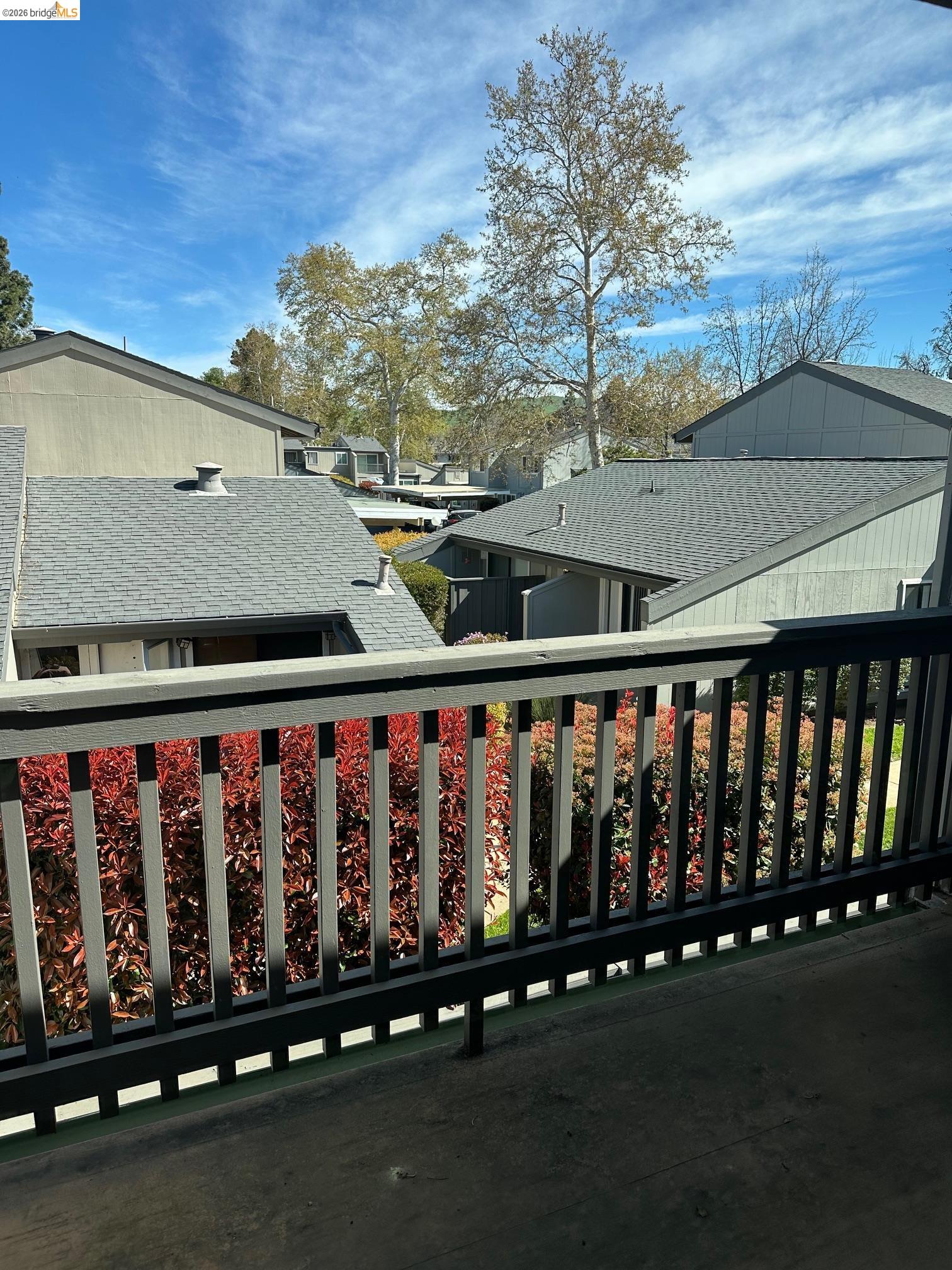 Photo #21: 41127156 Listing: Photo #21