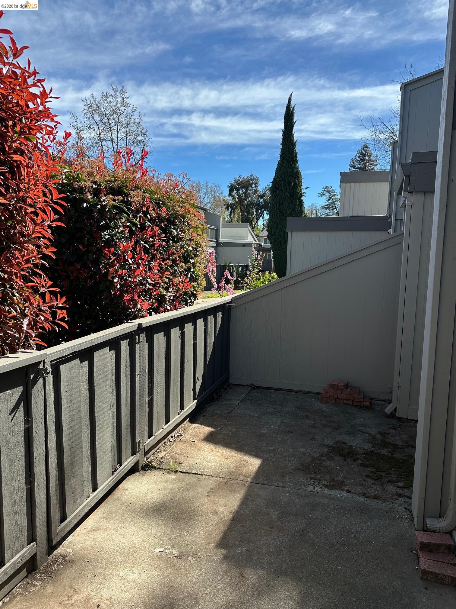 Photo #22: 41127156 Listing: Photo #22