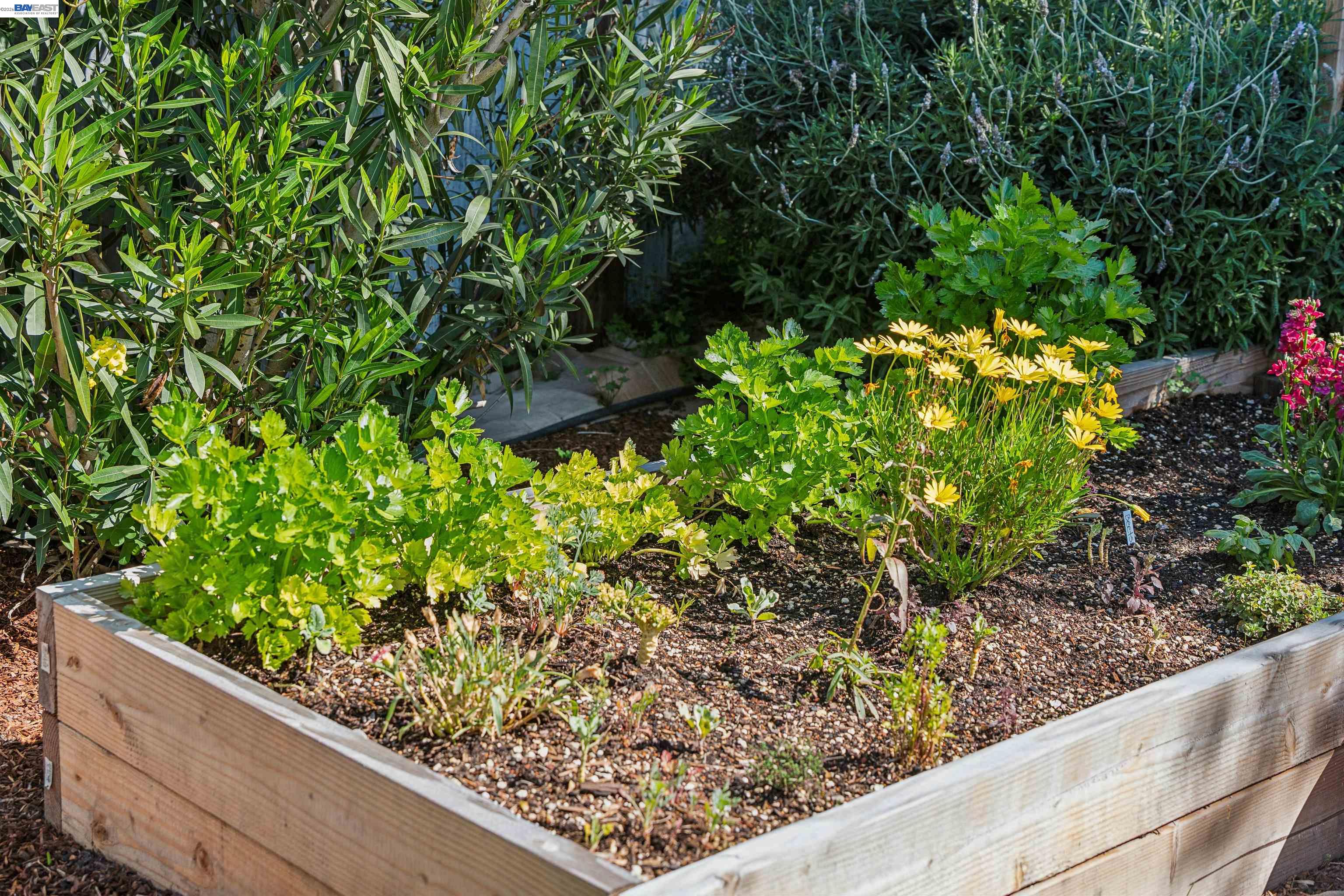 Detail Gallery Image 32 of 33 For 1262 94th Avenue, Oakland,  CA 94603 - 2 Beds | 1 Baths