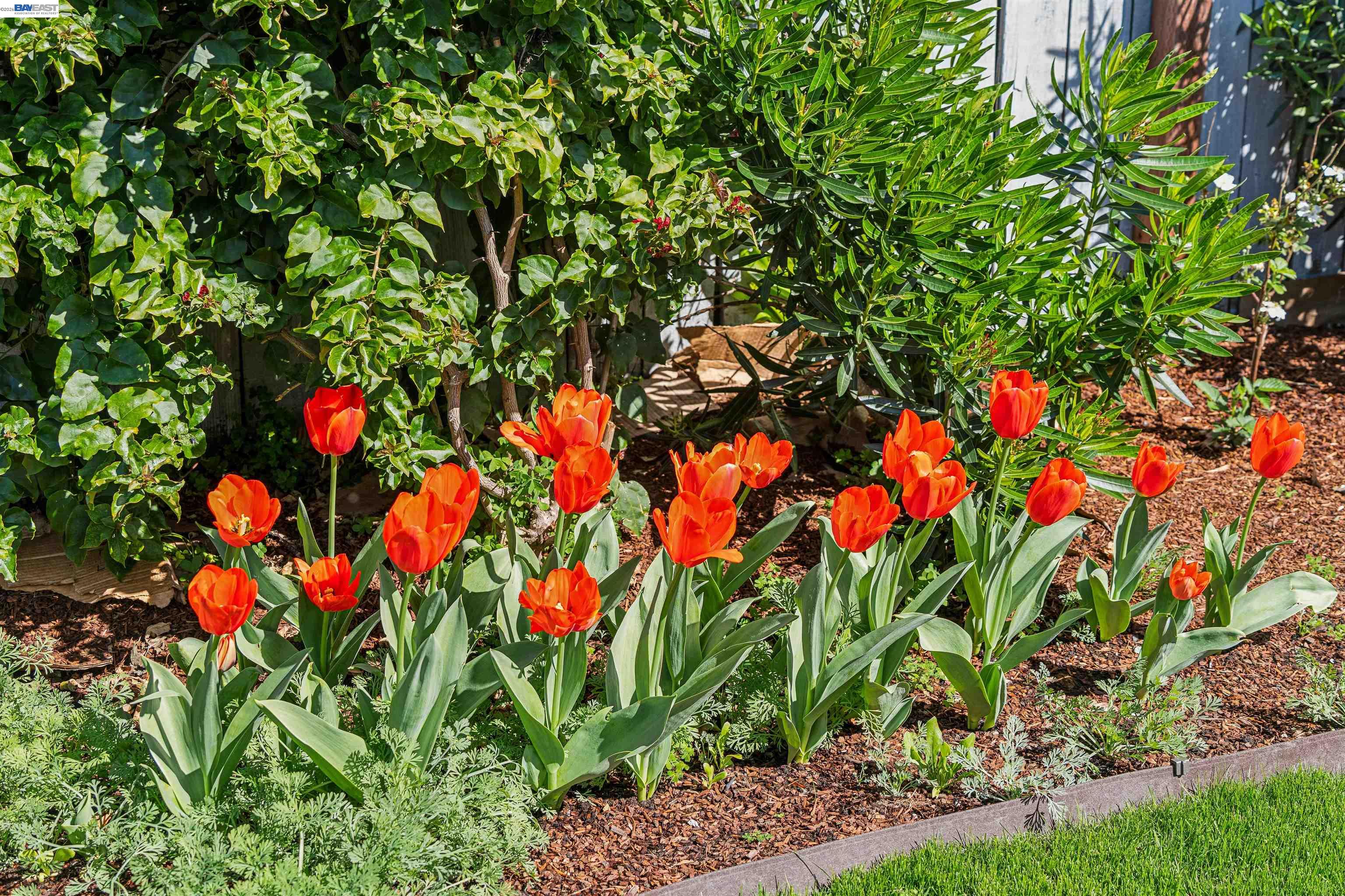 Detail Gallery Image 33 of 33 For 1262 94th Avenue, Oakland,  CA 94603 - 2 Beds | 1 Baths