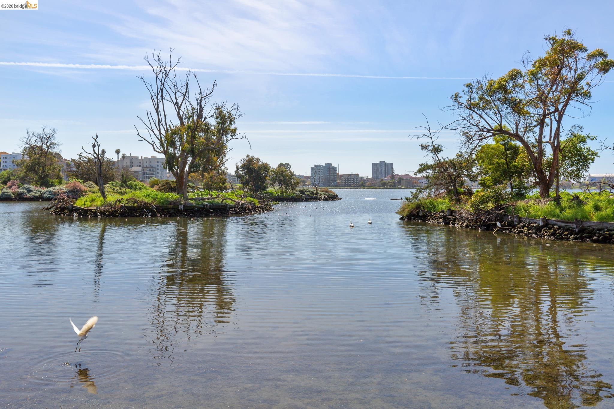 Photo #46: 41127186 Listing: Photo #46