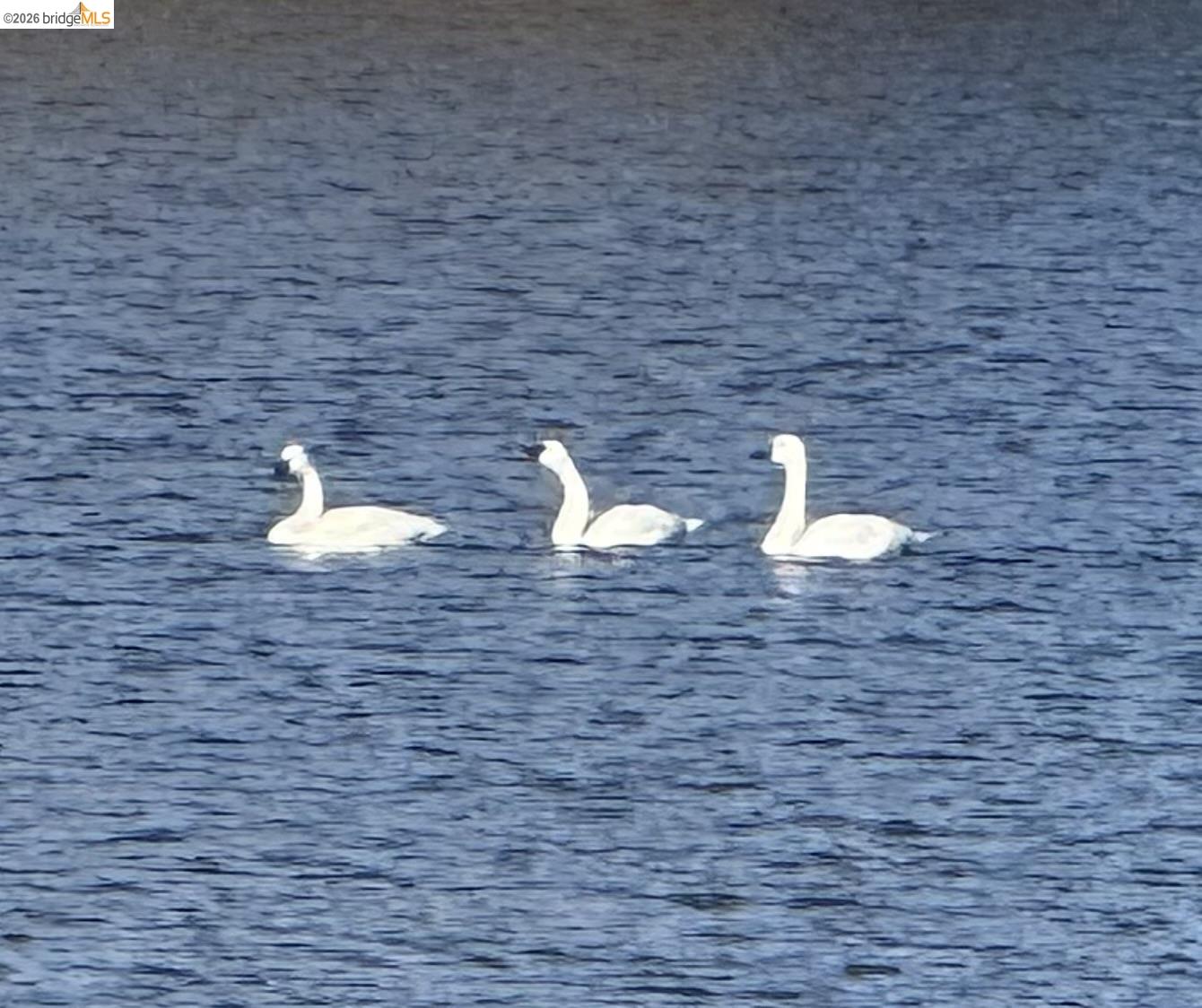 Detail Gallery Image 41 of 43 For 14717 Deon Dr, Sonora,  CA 95370 - 3 Beds | 2/1 Baths