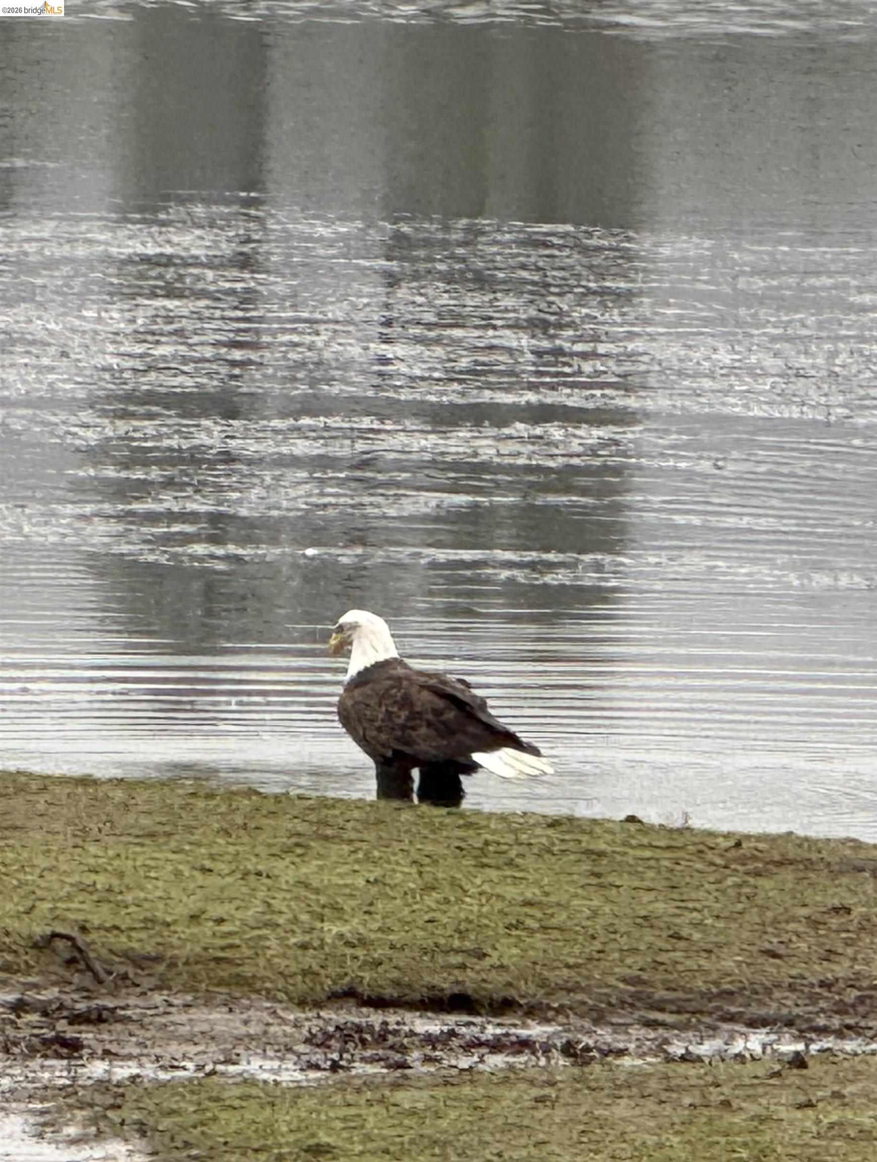 Detail Gallery Image 43 of 43 For 14717 Deon Dr, Sonora,  CA 95370 - 3 Beds | 2/1 Baths