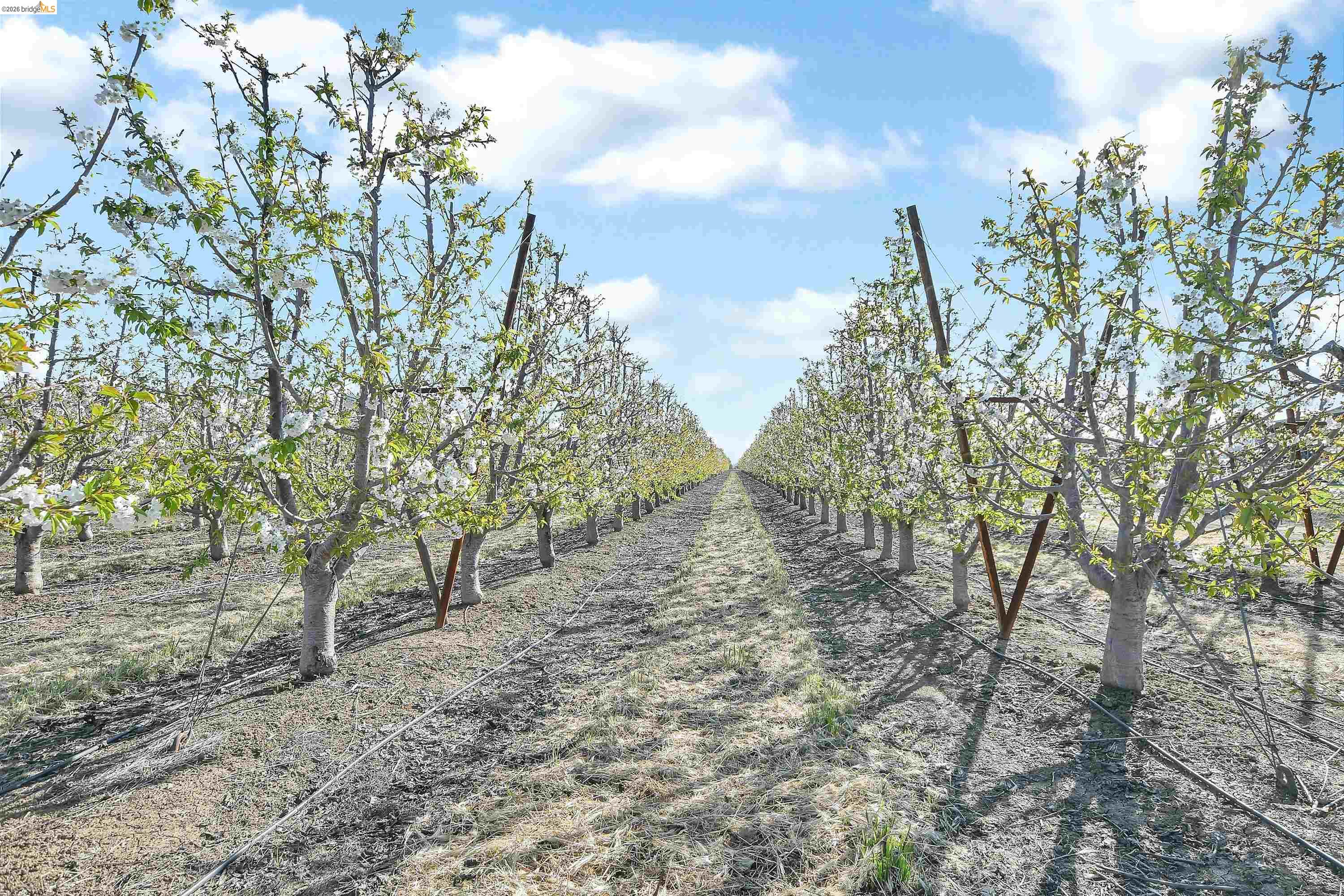 Detail Gallery Image 56 of 60 For 2650 Sellers Ave, Brentwood,  CA 94513 - 5 Beds | 5 Baths