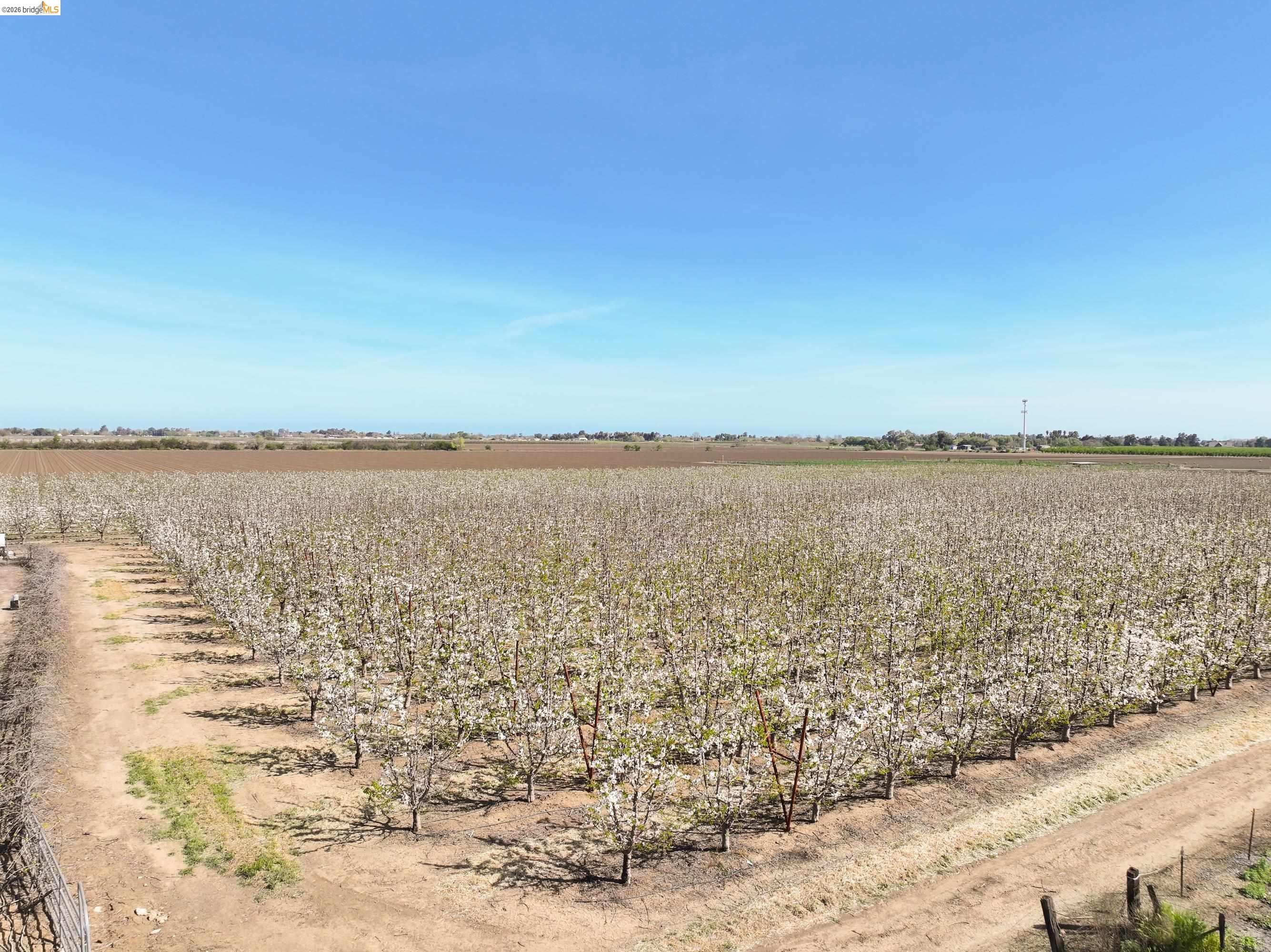 Detail Gallery Image 59 of 60 For 2650 Sellers Ave, Brentwood,  CA 94513 - 5 Beds | 5 Baths