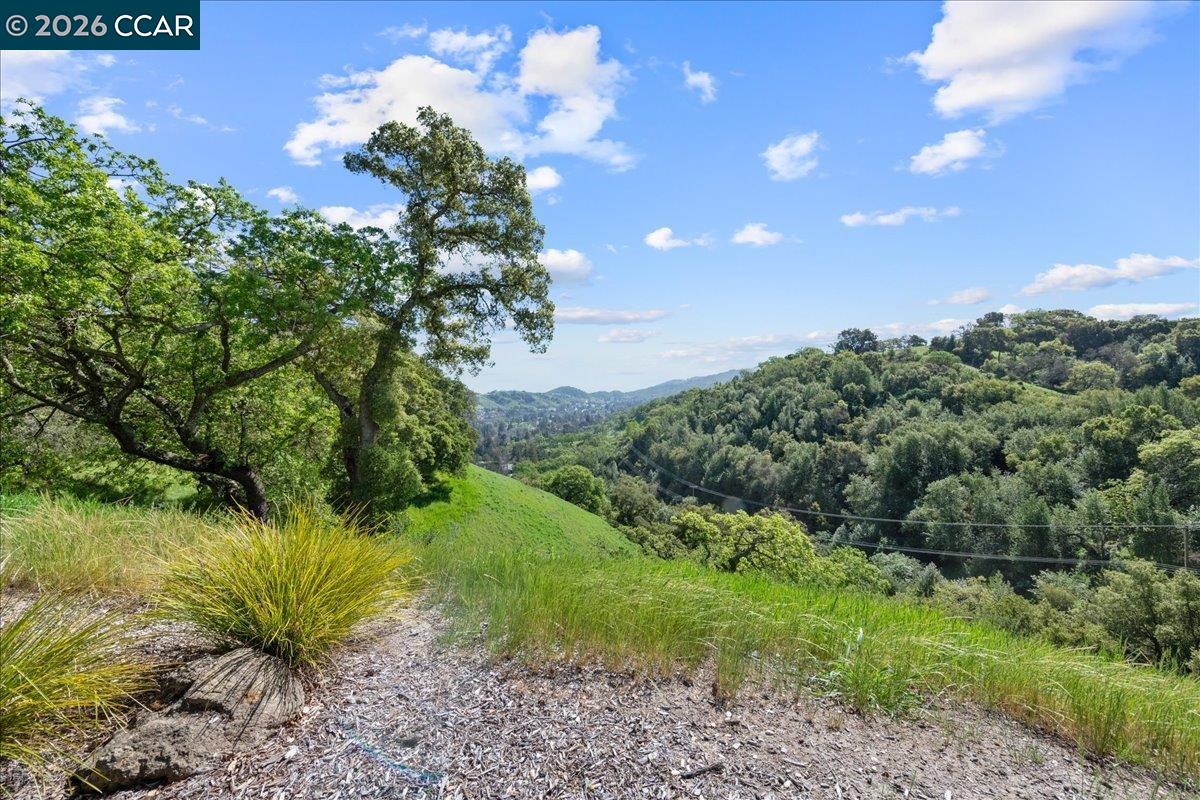 Photo #42: 41127215 Listing: Photo #42