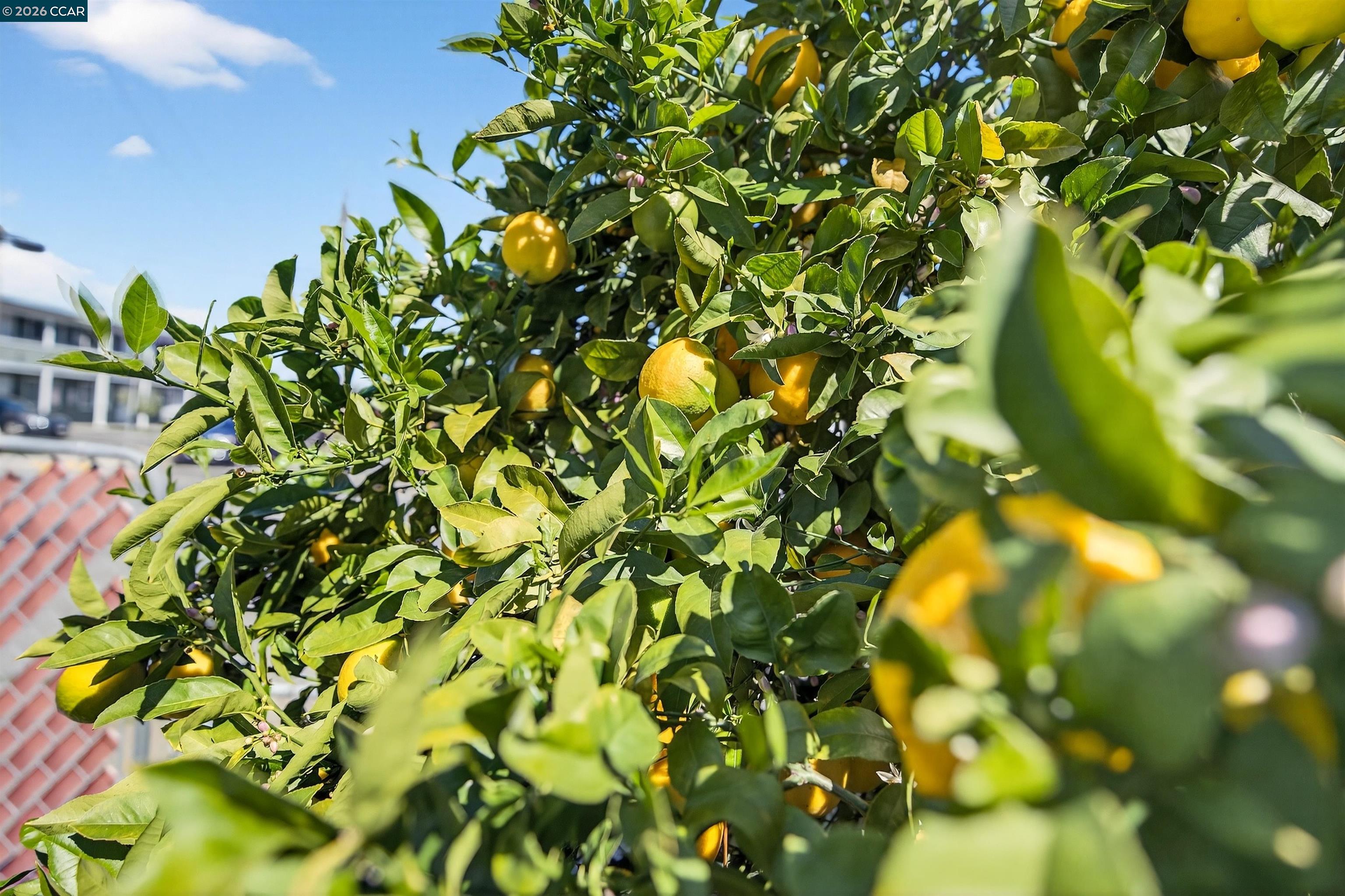 Detail Gallery Image 5 of 39 For 2138 Market Ave, San Pablo,  CA 94806 - 2 Beds | 1 Baths