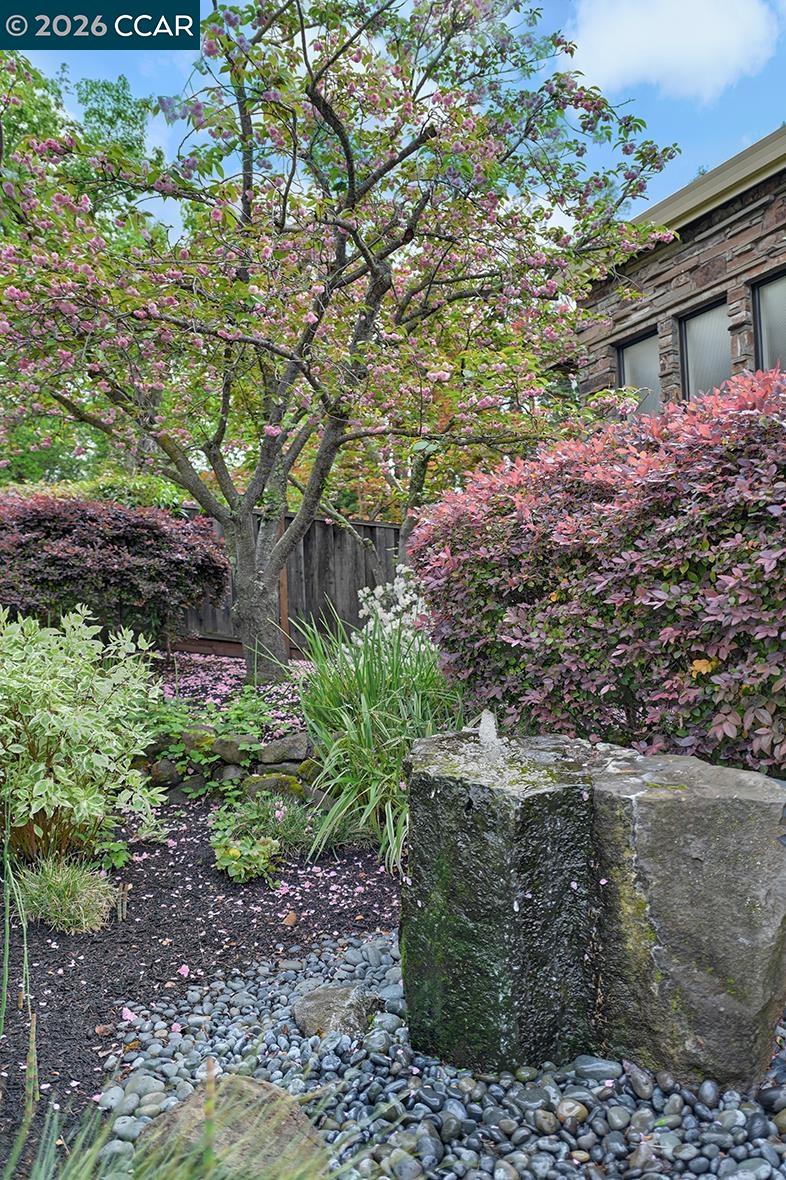 Detail Gallery Image 3 of 60 For 304 Livorna Heights Rd, Alamo,  CA 94507 - 5 Beds | 3/1 Baths