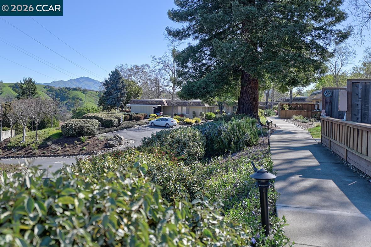 Photo #7: 41127250 Listing: Photo #7