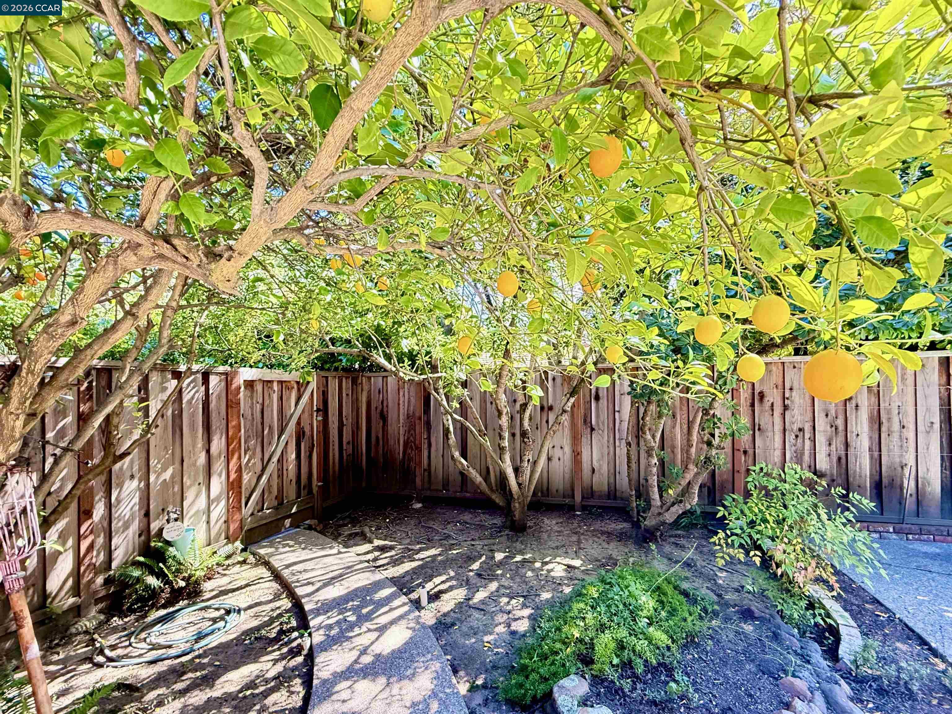 Detail Gallery Image 39 of 60 For 105 Camille Court, Alamo,  CA 94507-2413 - 3 Beds | 2 Baths