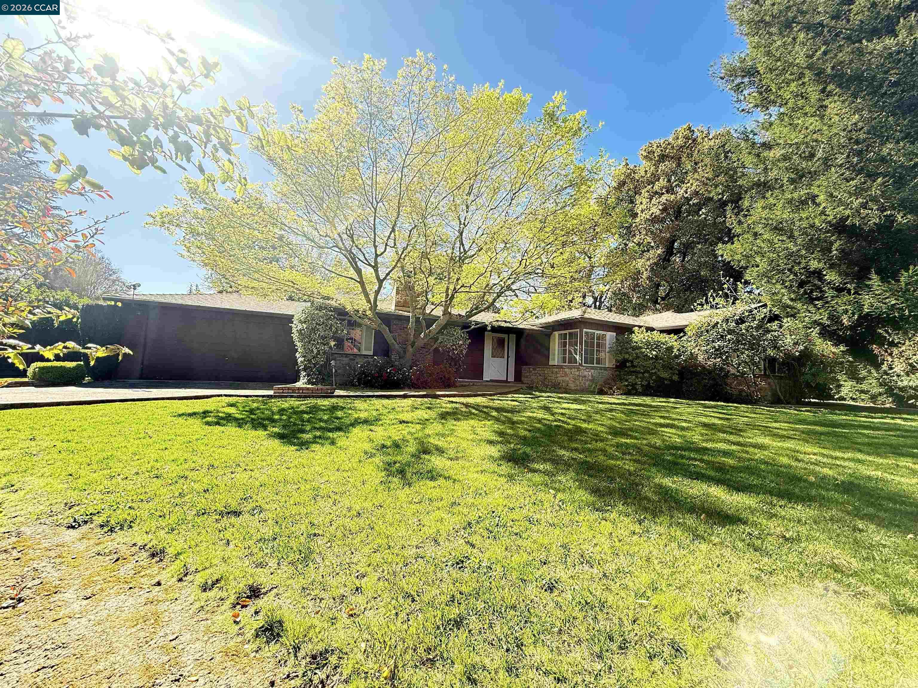 Detail Gallery Image 5 of 60 For 105 Camille Court, Alamo,  CA 94507-2413 - 3 Beds | 2 Baths