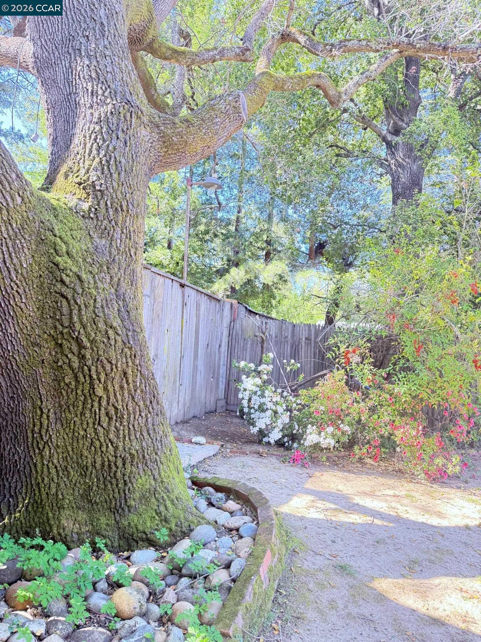 Detail Gallery Image 45 of 60 For 105 Camille Court, Alamo,  CA 94507-2413 - 3 Beds | 2 Baths