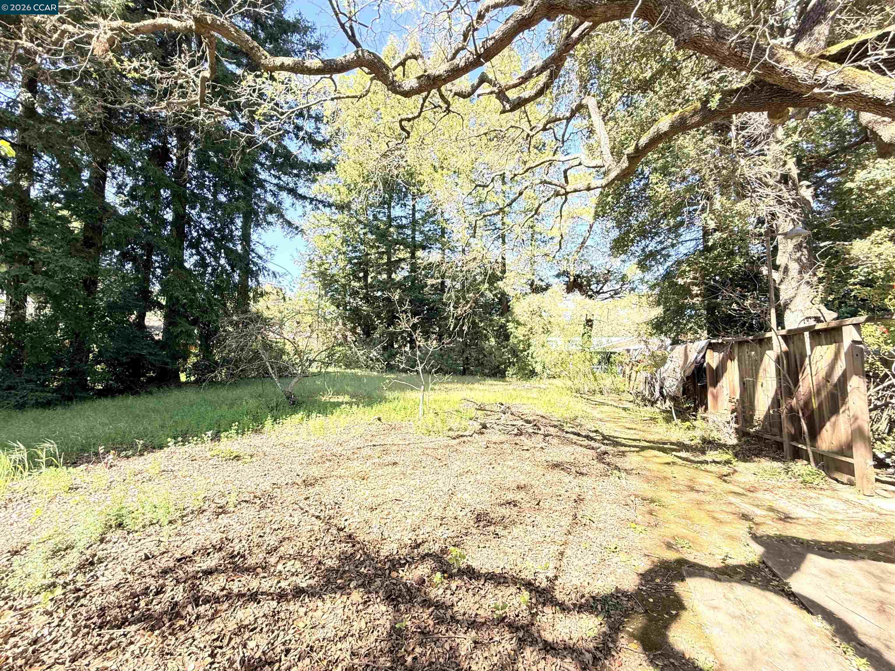 Detail Gallery Image 52 of 60 For 105 Camille Court, Alamo,  CA 94507-2413 - 3 Beds | 2 Baths