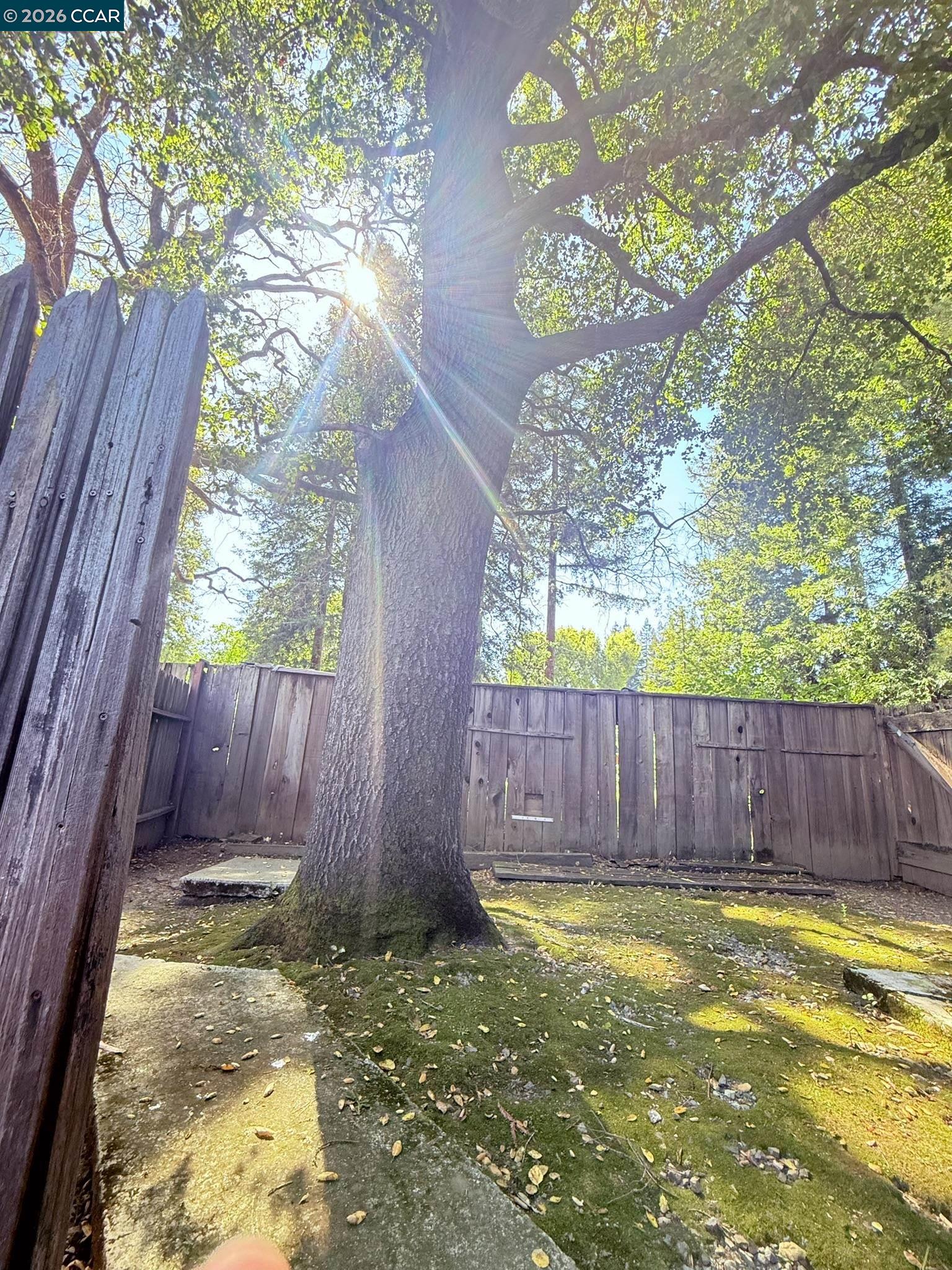 Detail Gallery Image 54 of 60 For 105 Camille Court, Alamo,  CA 94507-2413 - 3 Beds | 2 Baths