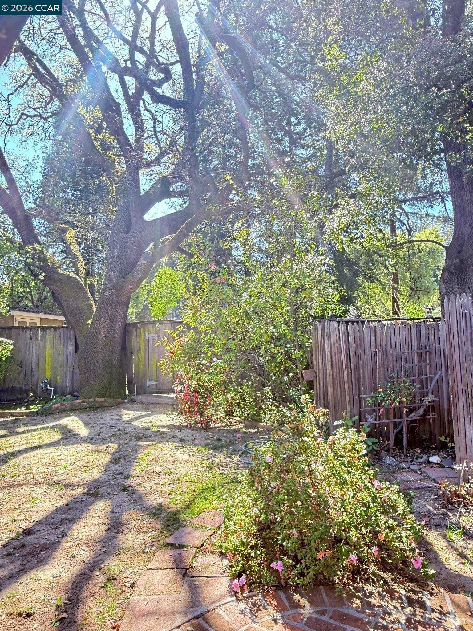 Detail Gallery Image 55 of 60 For 105 Camille Court, Alamo,  CA 94507-2413 - 3 Beds | 2 Baths