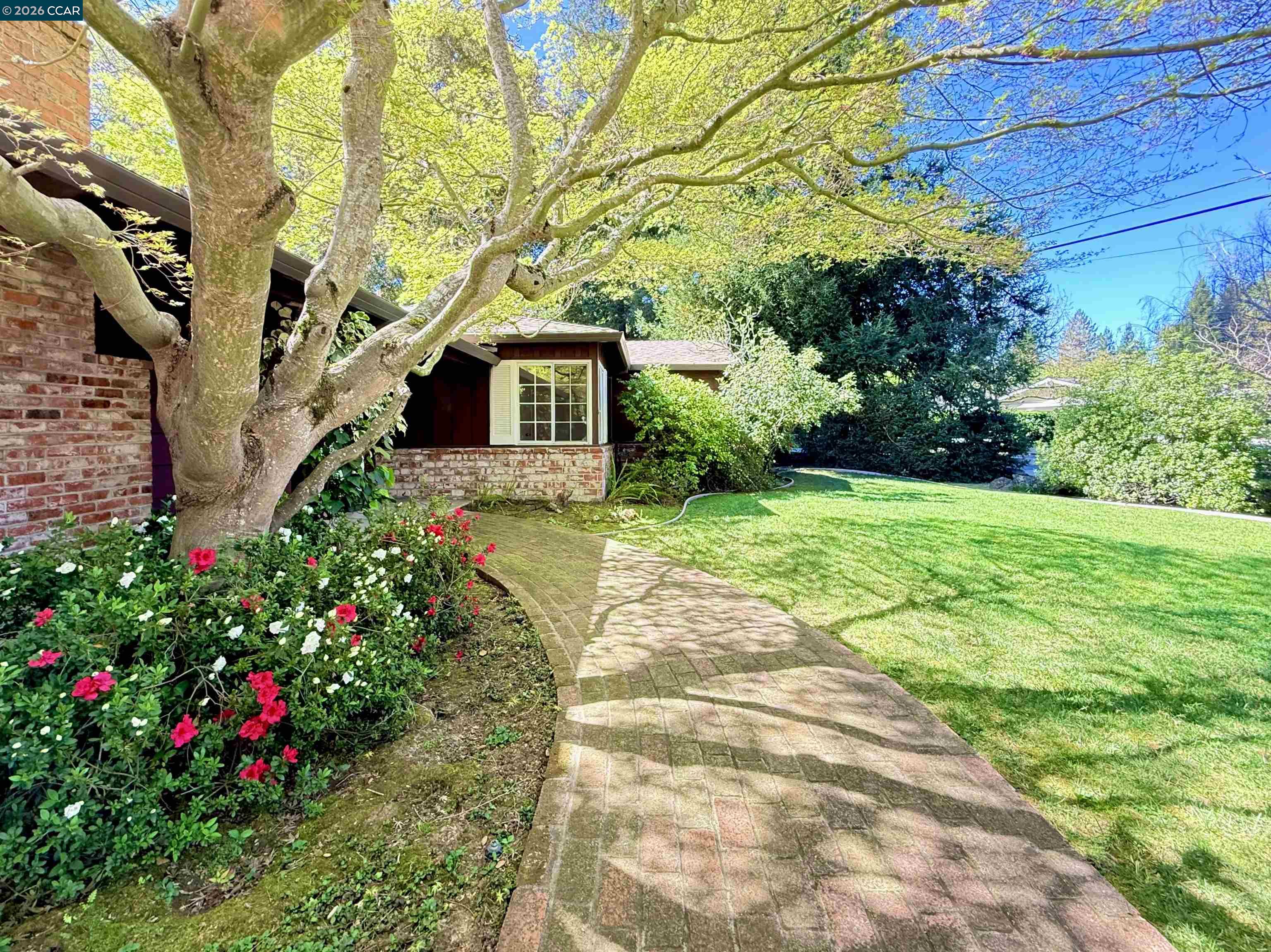 Detail Gallery Image 10 of 60 For 105 Camille Court, Alamo,  CA 94507-2413 - 3 Beds | 2 Baths