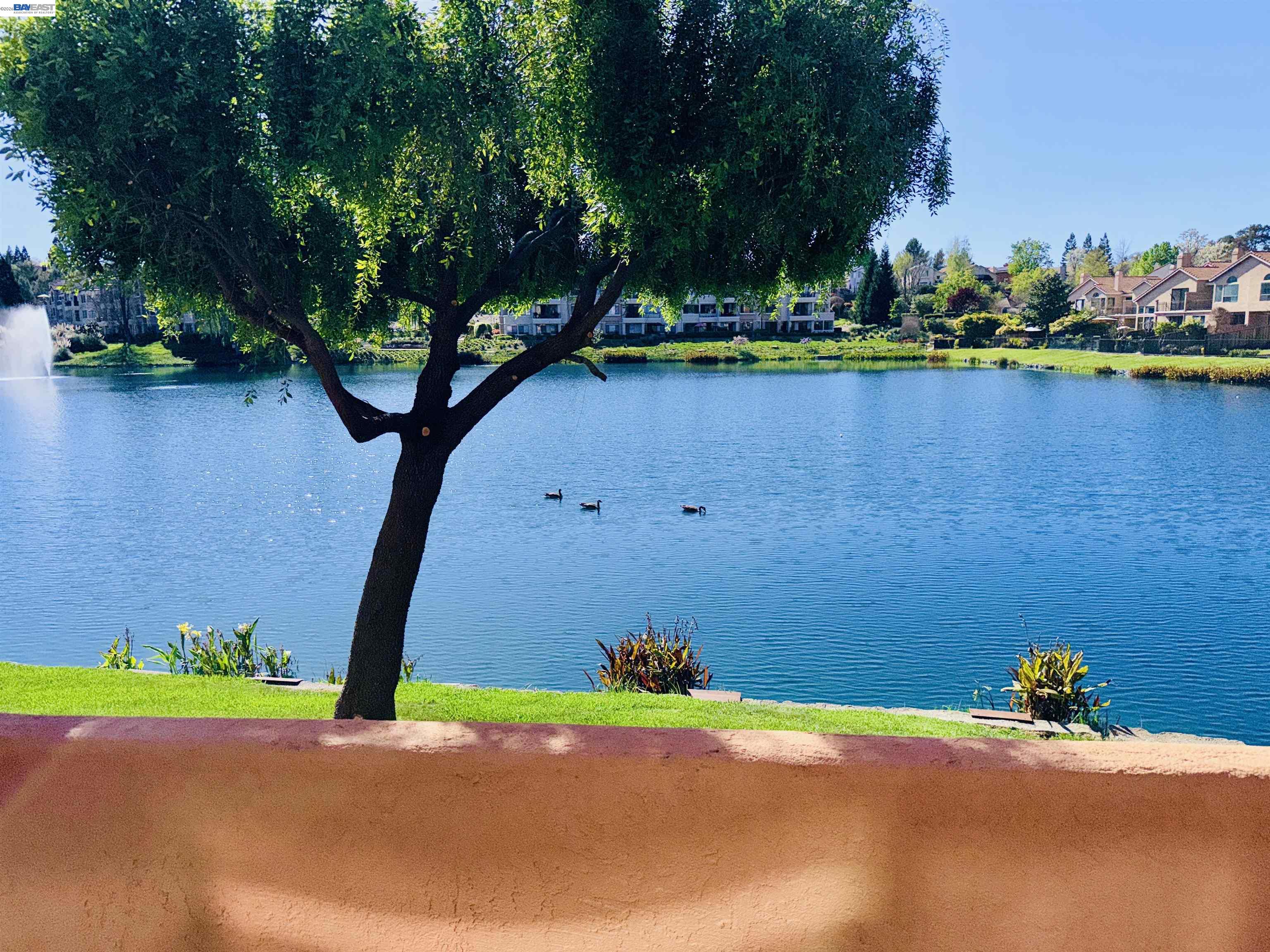 Detail Gallery Image 19 of 53 For 4063 W Lakeshore Dr, San Ramon,  CA 94582 - 2 Beds | 2/1 Baths