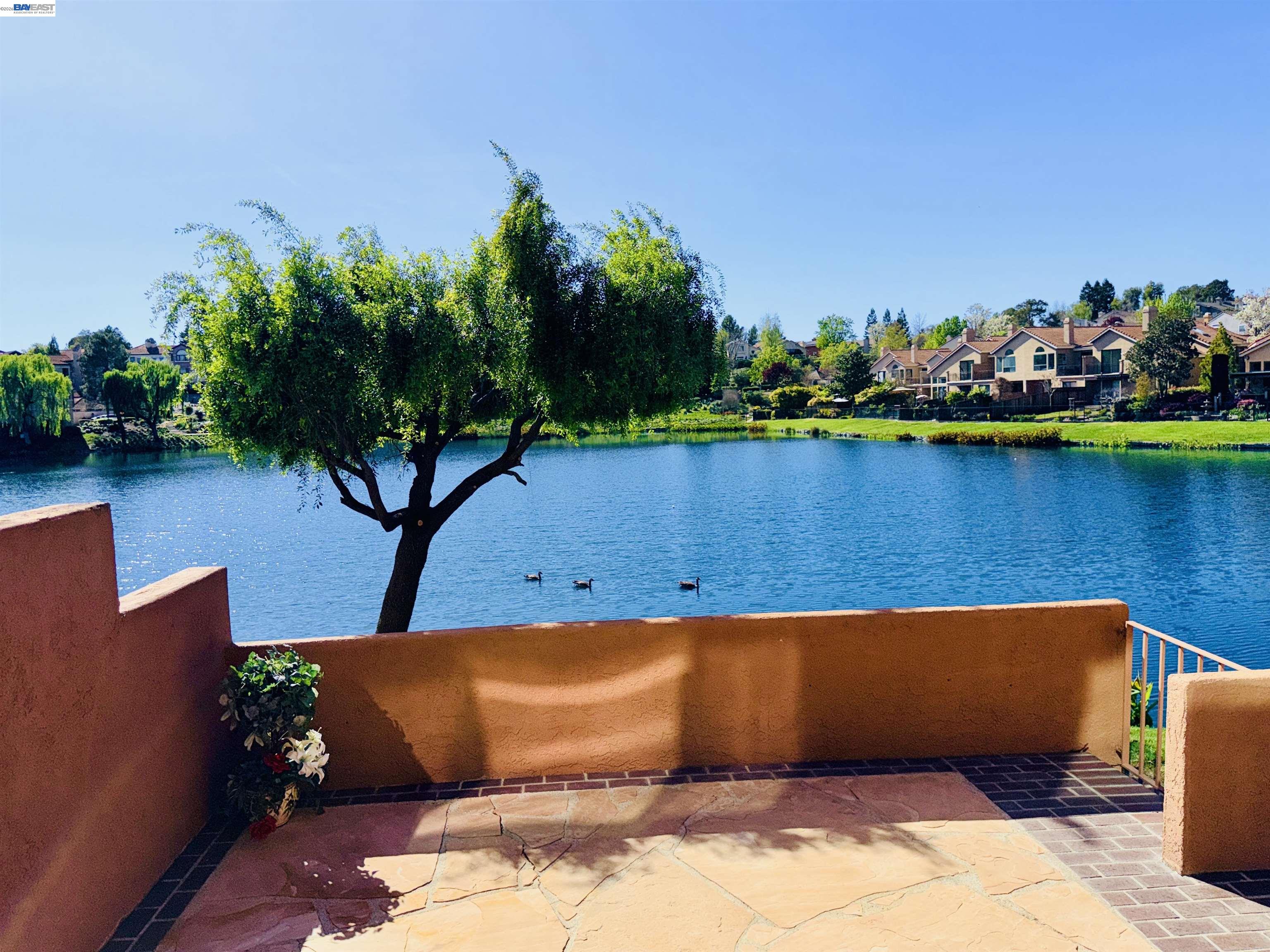 Detail Gallery Image 32 of 53 For 4063 W Lakeshore Dr, San Ramon,  CA 94582 - 2 Beds | 2/1 Baths