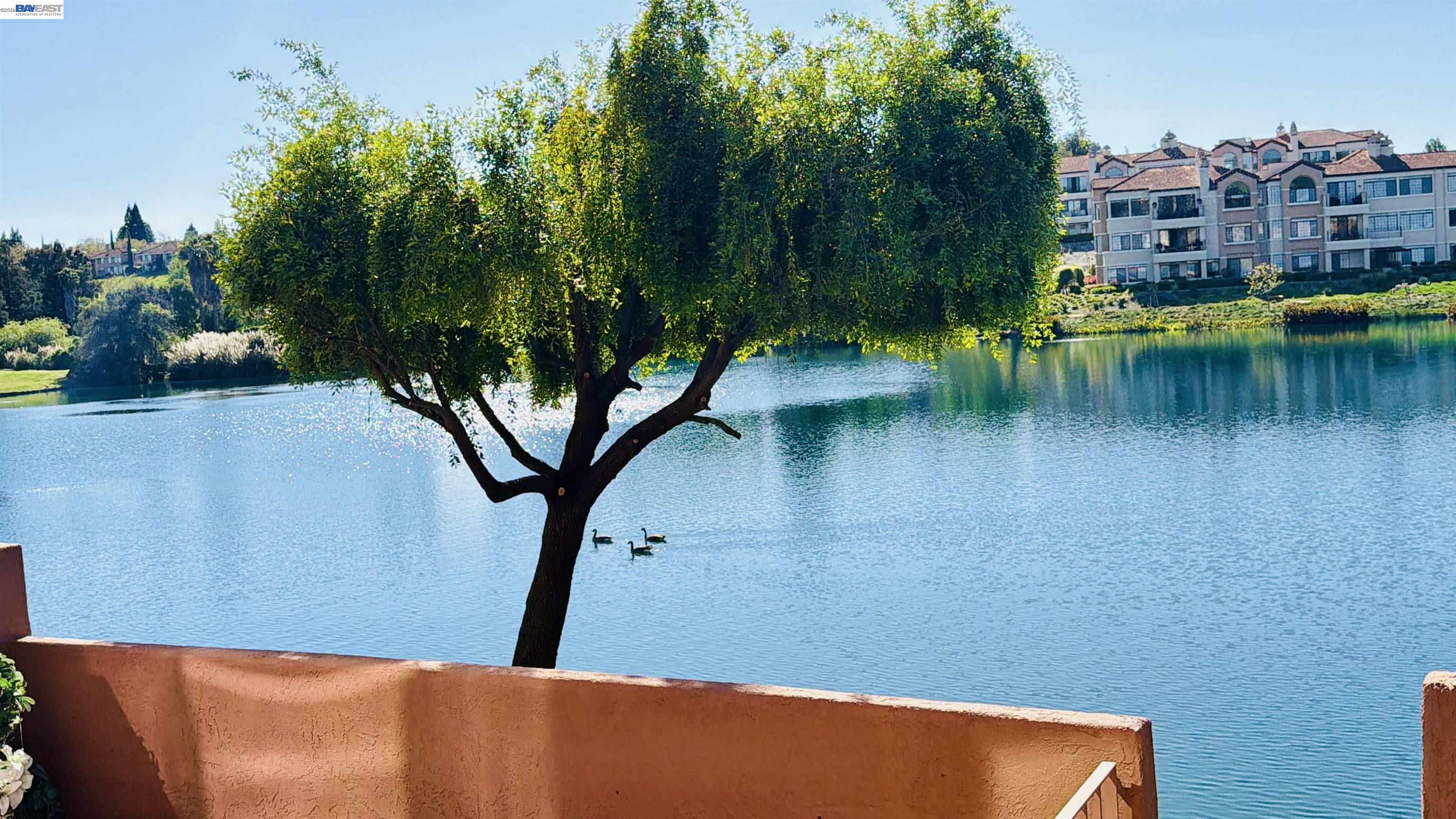 Detail Gallery Image 33 of 53 For 4063 W Lakeshore Dr, San Ramon,  CA 94582 - 2 Beds | 2/1 Baths