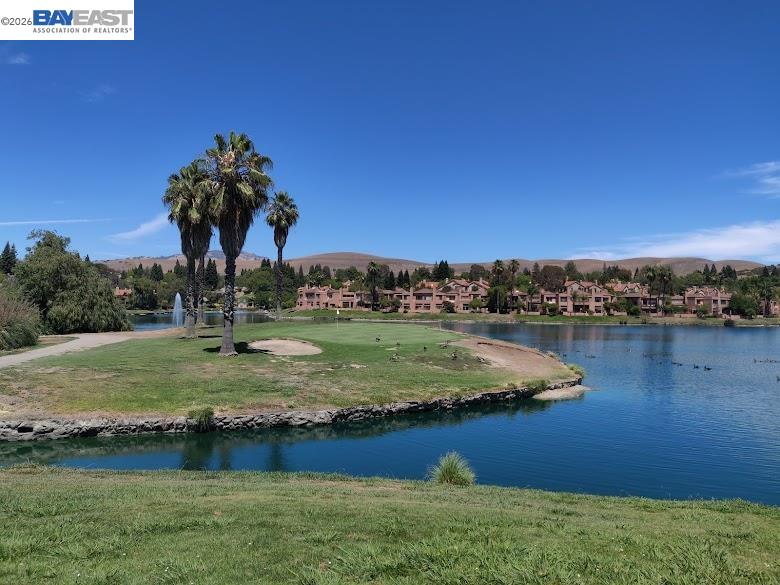 Photo #7: 41127283 Listing: Photo #7