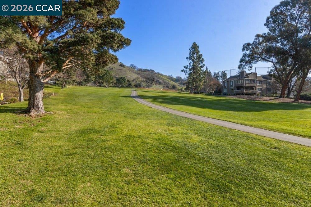 Photo #34: 41127288 Listing: Photo #34