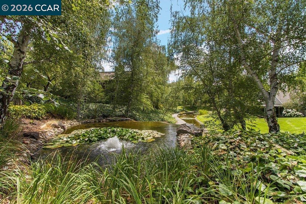 Photo #36: 41127288 Listing: Photo #36