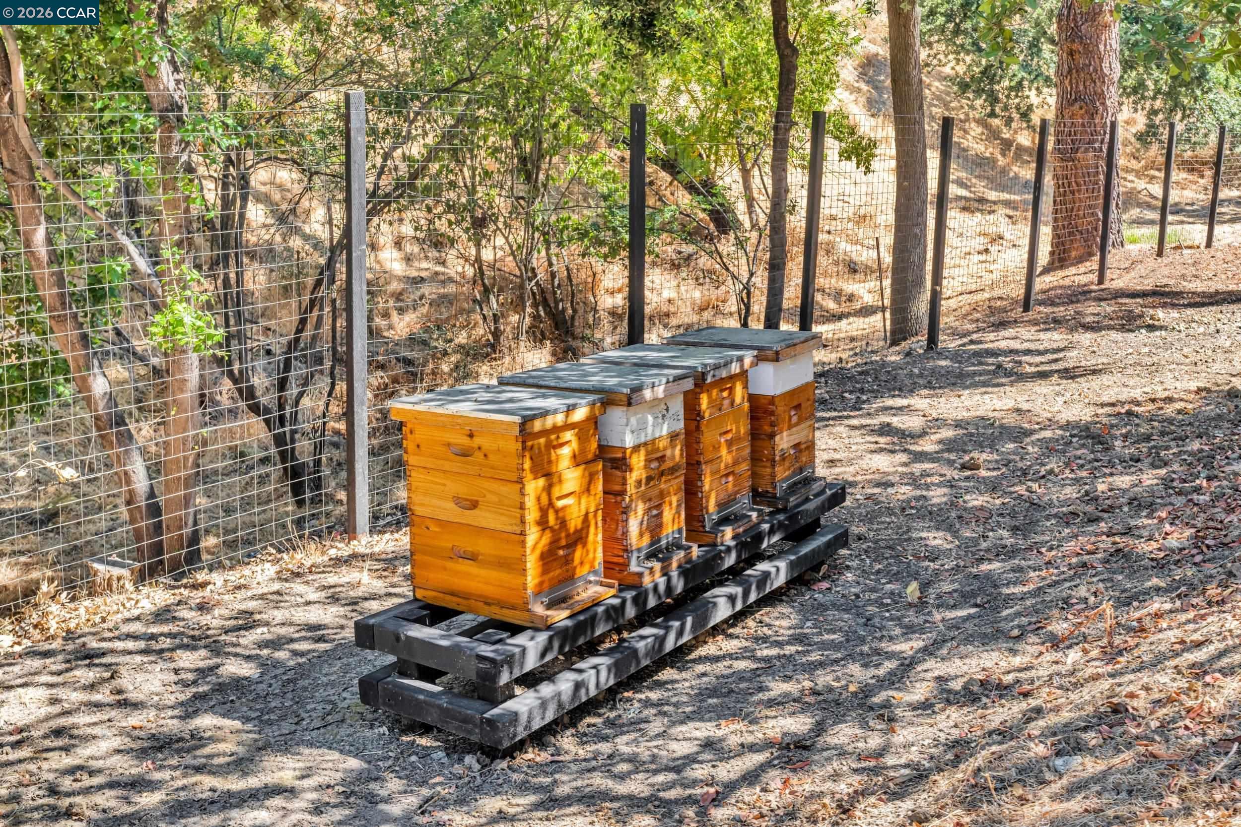 Detail Gallery Image 46 of 60 For 127 Caminar Way, Walnut Creek,  CA 94596 - 5 Beds | 5/1 Baths