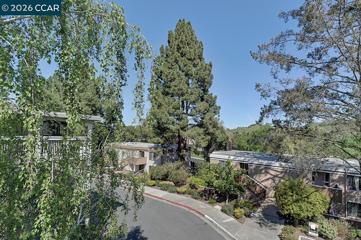 Photo #14: 41127297 Listing: Photo #14