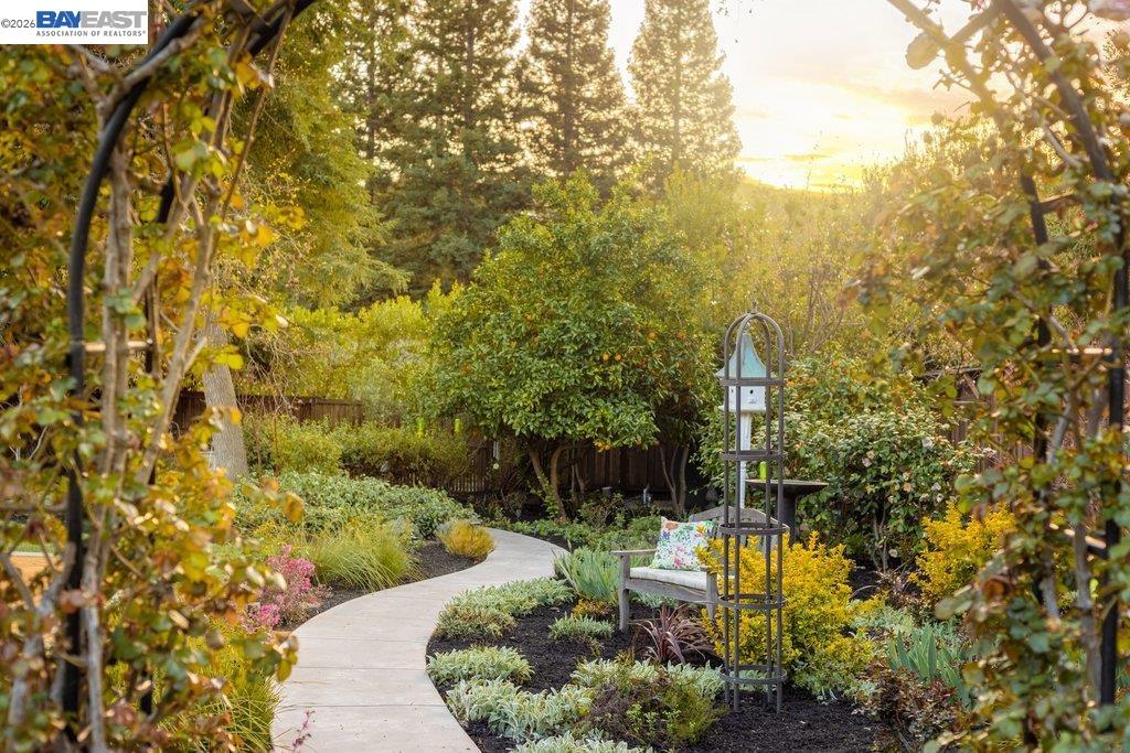 Detail Gallery Image 3 of 60 For 1397 Pine Tree Dr, Alamo,  CA 94507 - 6 Beds | 3/1 Baths