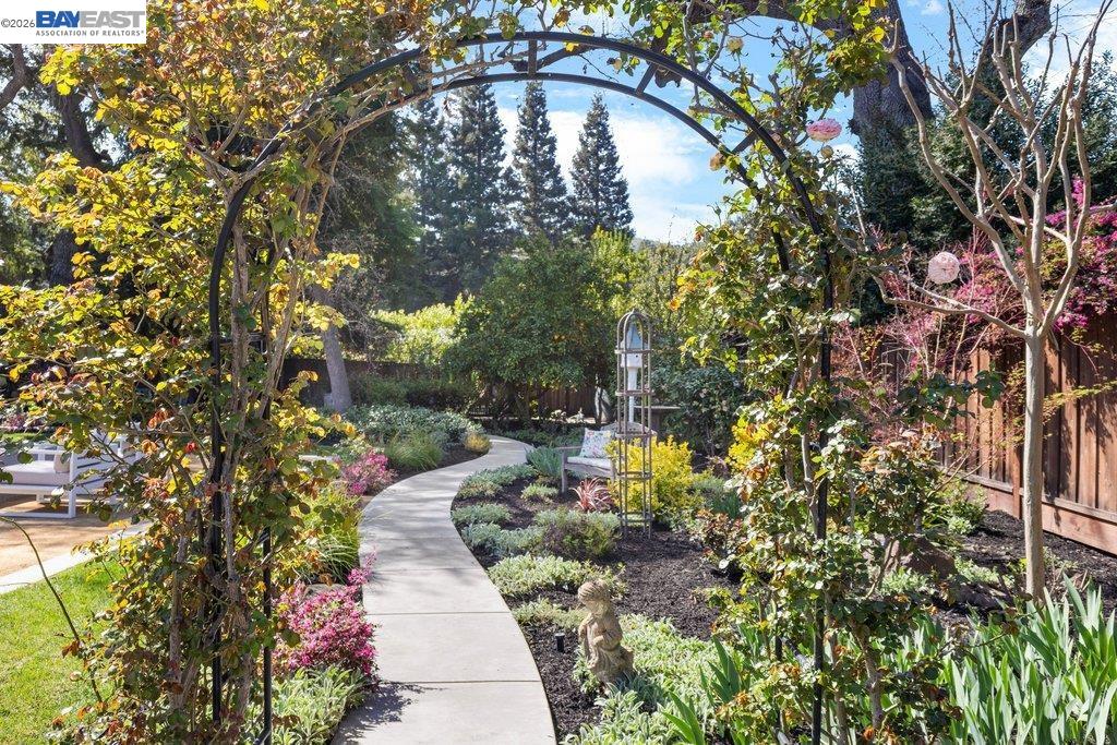 Detail Gallery Image 40 of 60 For 1397 Pine Tree Dr, Alamo,  CA 94507 - 6 Beds | 3/1 Baths