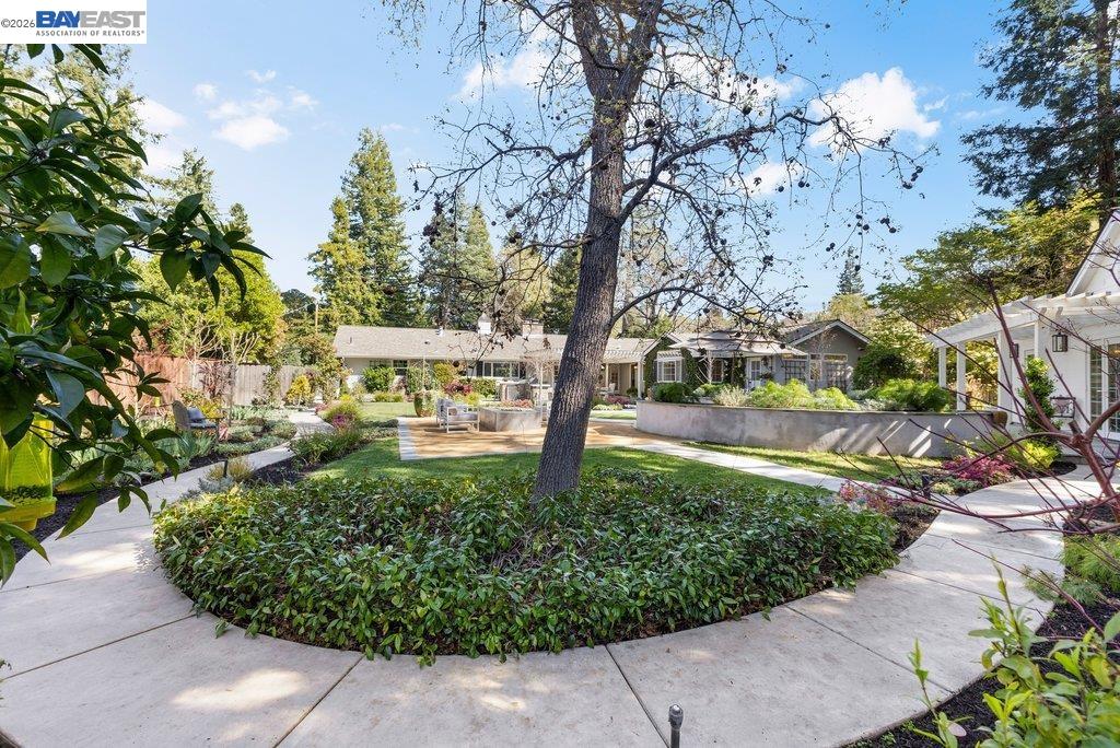 Detail Gallery Image 51 of 60 For 1397 Pine Tree Dr, Alamo,  CA 94507 - 6 Beds | 3/1 Baths