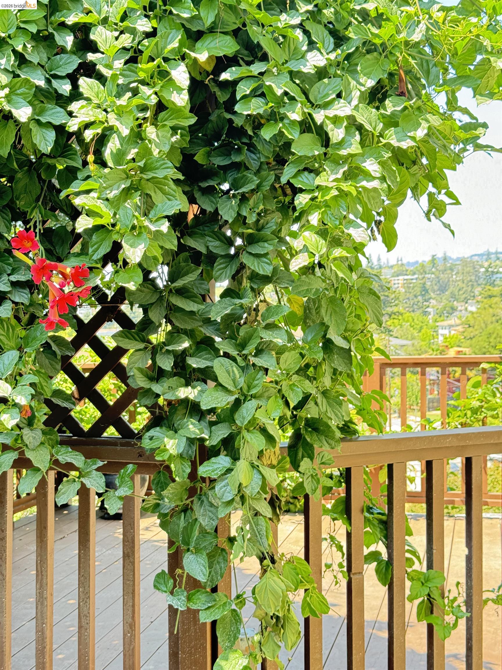 Detail Gallery Image 9 of 20 For 4209 Balfour, Oakland,  CA 94610-1749 - 4 Beds | 2/1 Baths