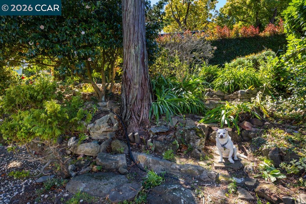 Detail Gallery Image 30 of 37 For 1040 Park Hills Rd, Berkeley,  CA 94708 - 4 Beds | 3 Baths