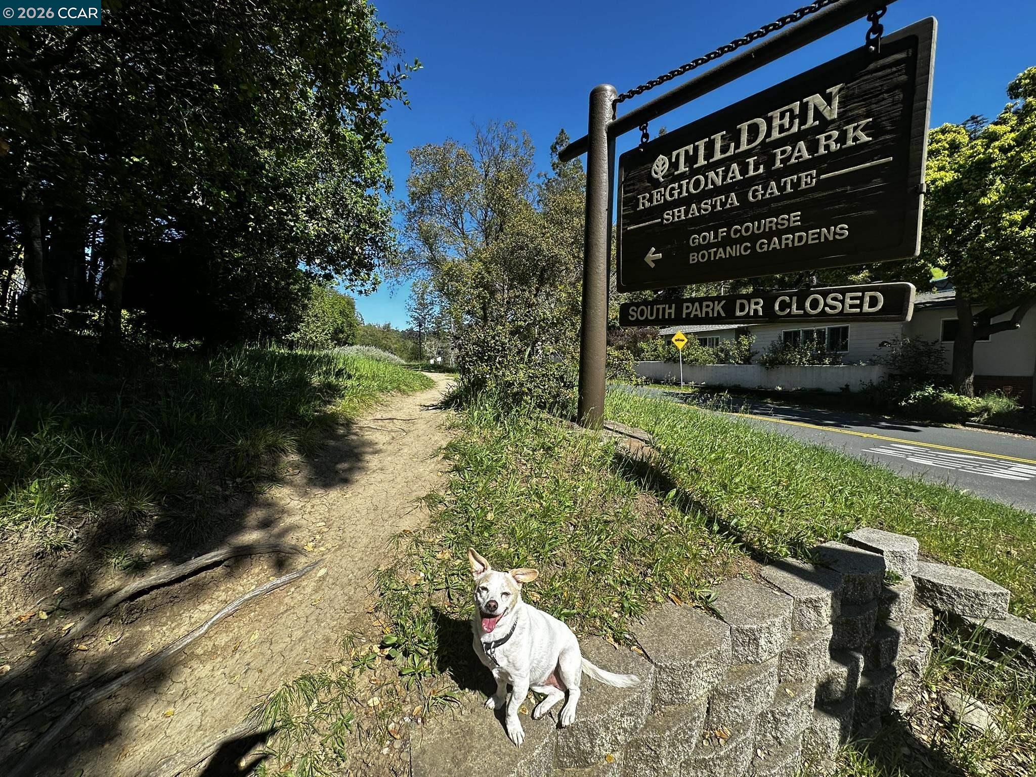 Detail Gallery Image 31 of 37 For 1040 Park Hills Rd, Berkeley,  CA 94708 - 4 Beds | 3 Baths