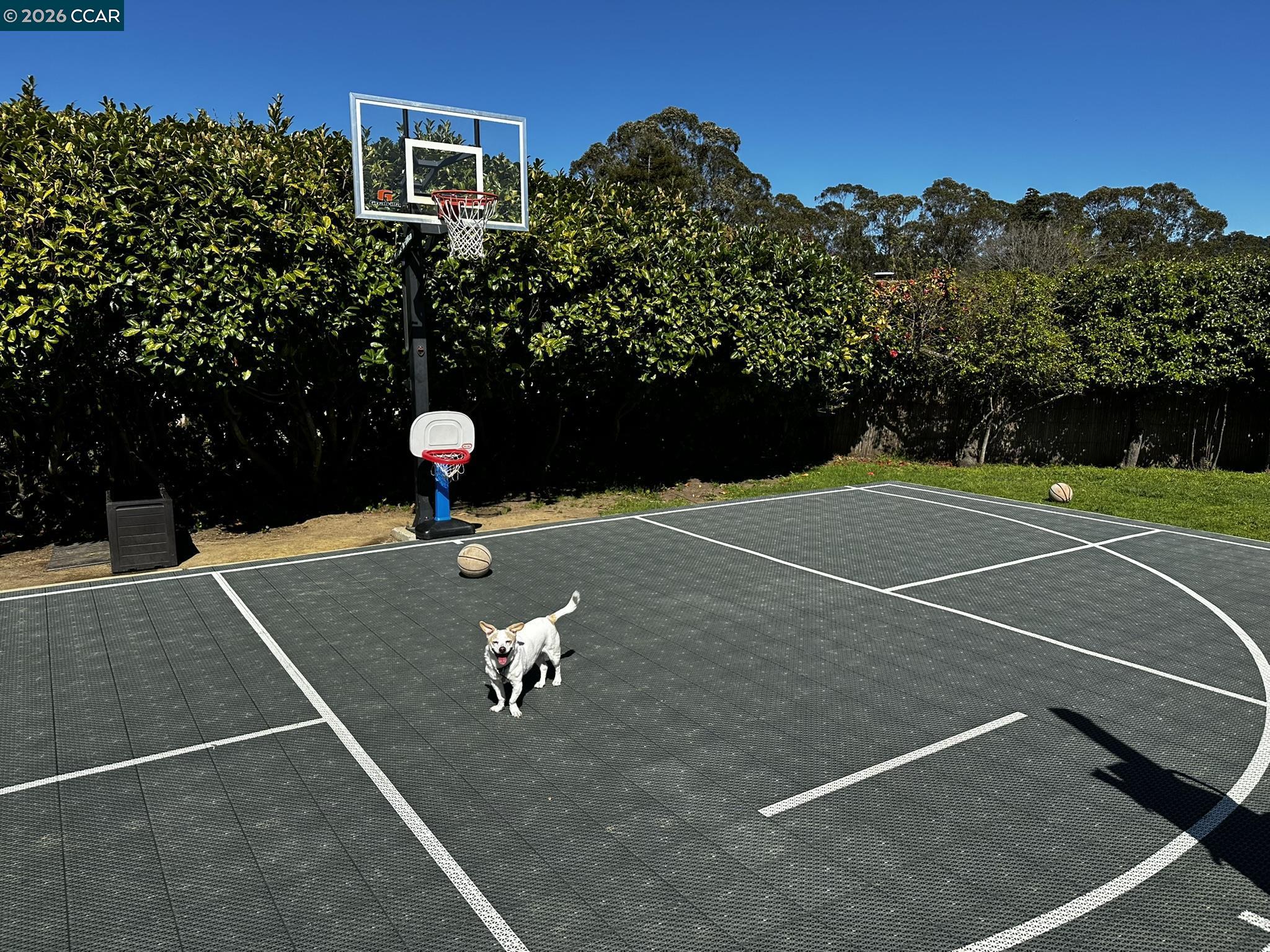 Detail Gallery Image 33 of 37 For 1040 Park Hills Rd, Berkeley,  CA 94708 - 4 Beds | 3 Baths