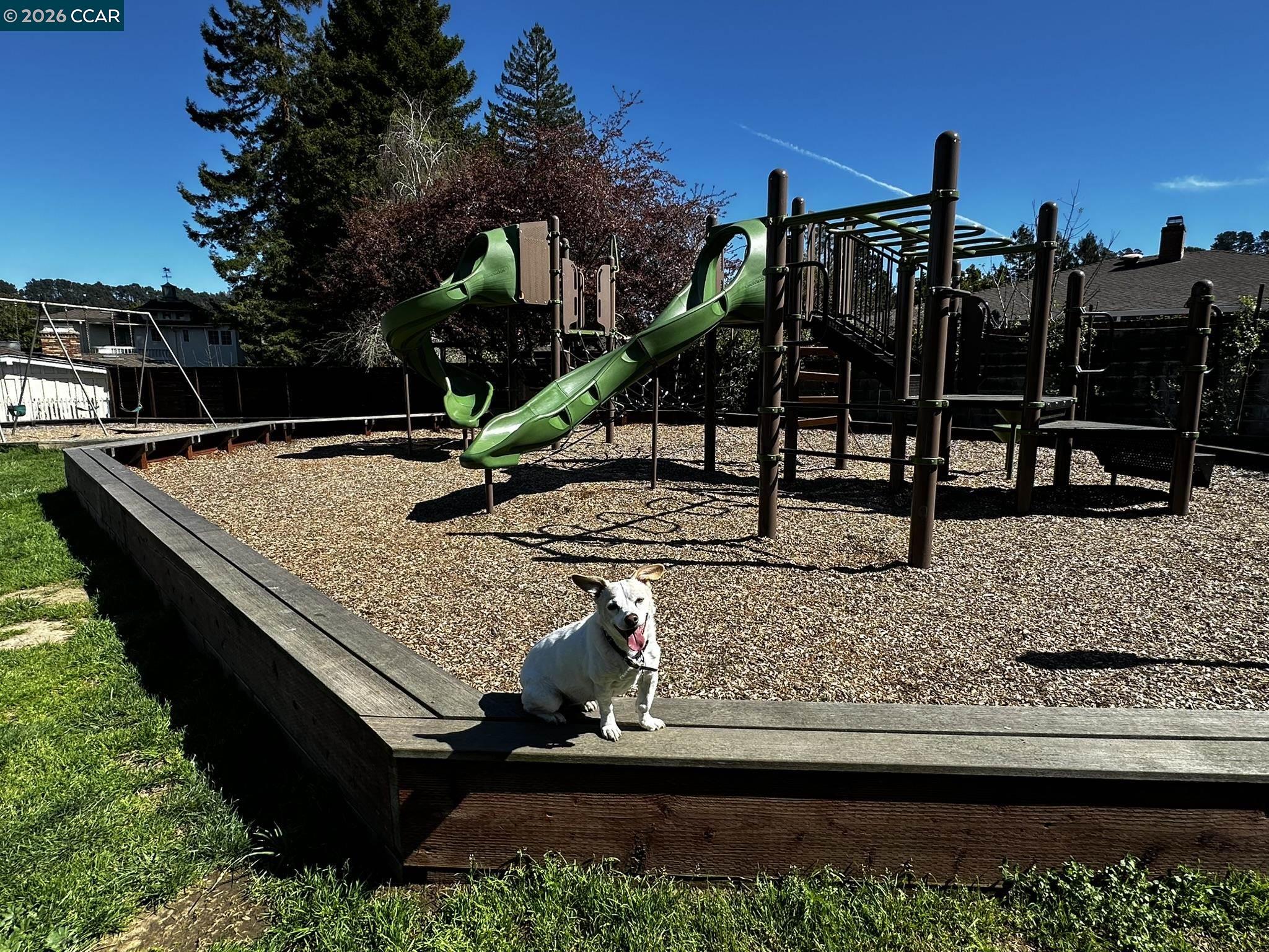 Detail Gallery Image 34 of 37 For 1040 Park Hills Rd, Berkeley,  CA 94708 - 4 Beds | 3 Baths