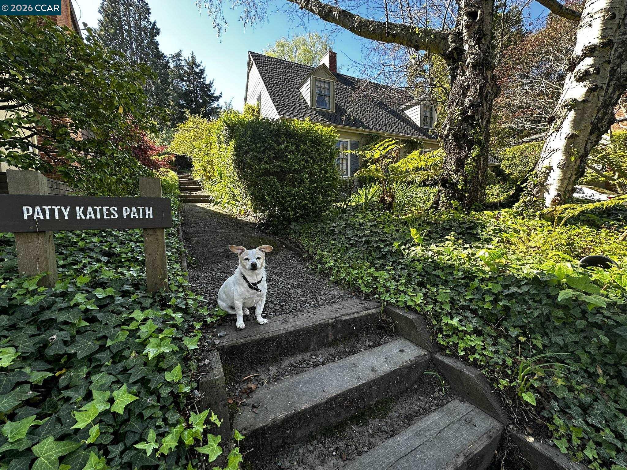 Detail Gallery Image 35 of 37 For 1040 Park Hills Rd, Berkeley,  CA 94708 - 4 Beds | 3 Baths